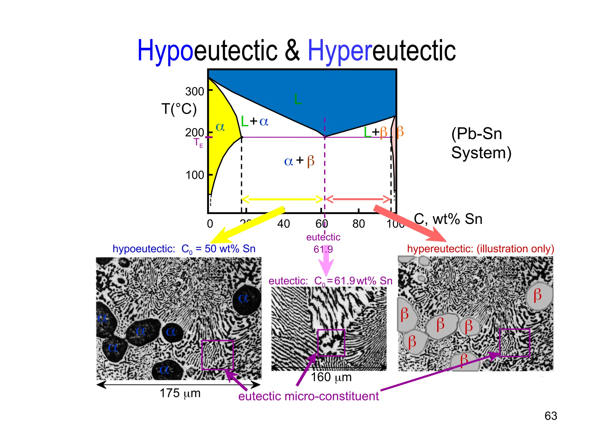 63
L+
L+
 + 
200
C, wt% Sn
20 60 80 100
0
300
100
L
 
TE
40
(Pb-Sn
System)
Hypoeutectic & Hypereutectic
160 m
eutectic micro-constituent
hypereutectic: (illustration only)






175 m






hypoeutectic: C0 = 50 wt% Sn
T(°C)
61.9
eutectic
eutectic: C0 =61.9wt% Sn
 