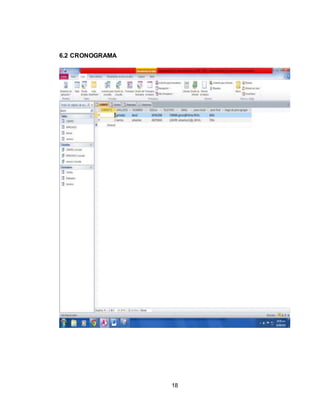 18
6.2 CRONOGRAMA
 