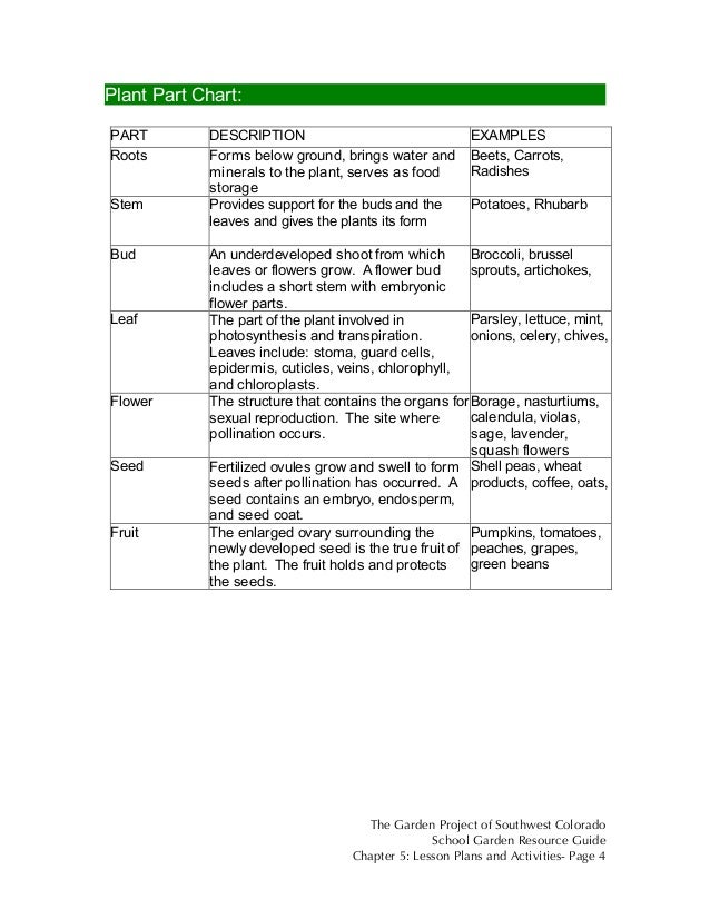 colorado school garden lesson plan a1 edible plant parts what s for