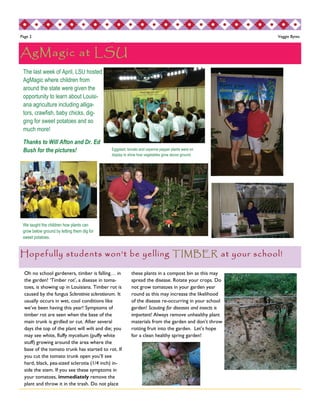 Page 2 Veggie Bytes 
AgMagic at LSU 
The last week of April, LSU hosted 
AgMagic where children from 
around the state were given the 
opportunity to learn about Louisi-ana 
agriculture including alliga-tors, 
crawfish, baby chicks, dig-ging 
for sweet potatoes and so 
much more! 
Thanks to Will Afton and Dr. Ed 
Bush for the pictures! 
Hopefully students won’t be yelling TIMBER at your school! 
Oh no school gardeners, timber is falling… in 
the garden! ‘Timber rot’, a disease in toma-toes, 
is showing up in Louisiana. Timber rot is 
caused by the fungus Sclerotinia sclerotiorum. It 
usually occurs in wet, cool conditions like 
we’ve been having this year! Symptoms of 
timber rot are seen when the base of the 
main trunk is girdled or cut. After several 
days the top of the plant will wilt and die; you 
may see white, fluffy mycelium (puffy white 
stuff) growing around the area where the 
base of the tomato trunk has started to rot. If 
you cut the tomato trunk open you’ll see 
hard, black, pea-sized sclerotia (1/4 inch) in-side 
the stem. If you see these symptoms in 
your tomatoes, immediately remove the 
plant and throw it in the trash. Do not place 
these plants in a compost bin as this may 
spread the disease. Rotate your crops. Do 
not grow tomatoes in your garden year 
round as this may increase the likelihood 
of the disease re-occurring in your school 
garden! Scouting for diseases and insects is 
important! Always remove unhealthy plant 
materials from the garden and don’t throw 
rotting fruit into the garden. Let’s hope 
for a clean healthy spring garden! 
We taught the children how plants can 
grow below ground by letting them dig for 
sweet potatoes. 
Eggplant, tomato and cayenne pepper plants were on 
display to show how vegetables grow above ground. 
 