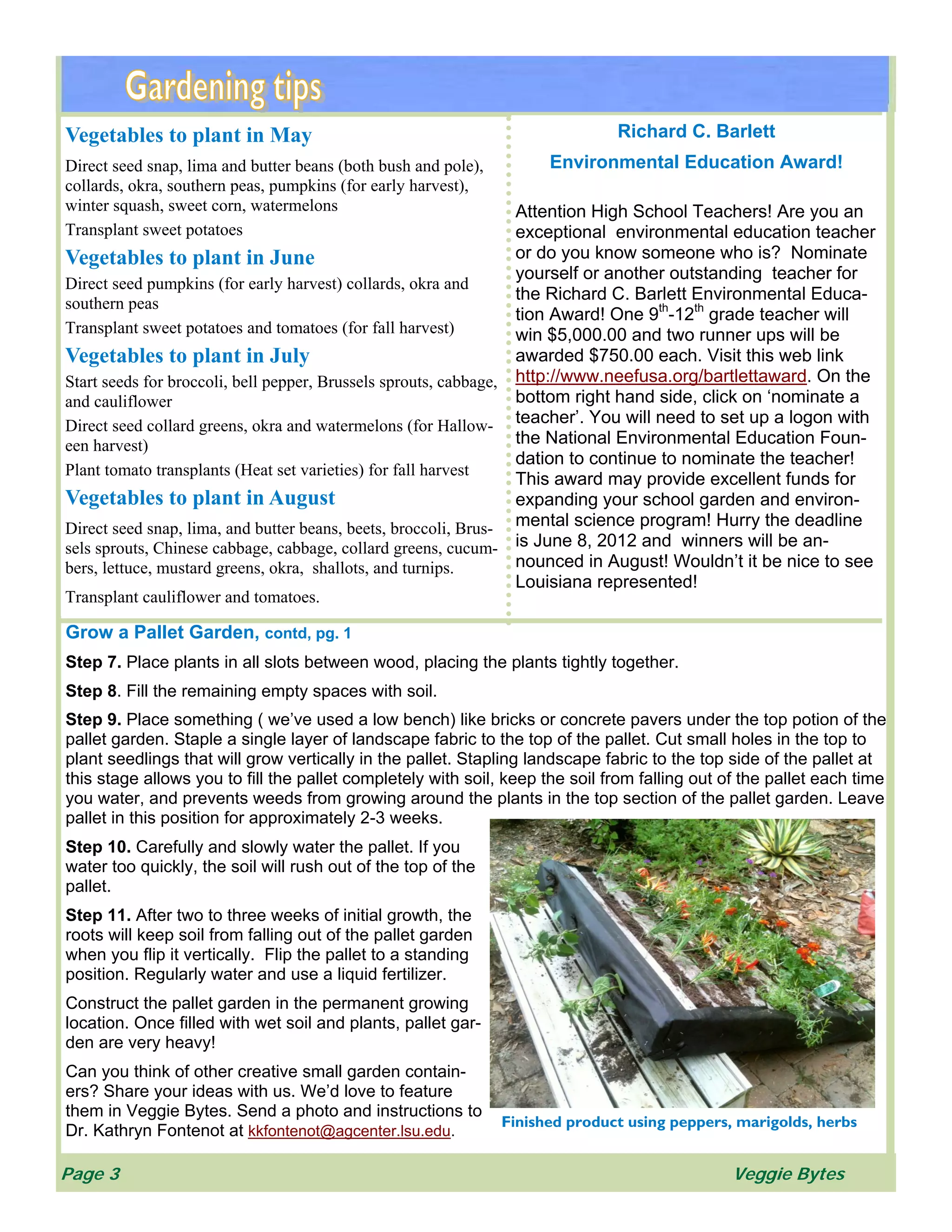 Vegetables to plant in May 
Direct seed snap, lima and butter beans (both bush and pole), 
collards, okra, southern peas, pumpkins (for early harvest), 
winter squash, sweet corn, watermelons 
Transplant sweet potatoes 
Vegetables to plant in June 
Direct seed pumpkins (for early harvest) collards, okra and 
southern peas 
Transplant sweet potatoes and tomatoes (for fall harvest) 
Vegetables to plant in July 
Start seeds for broccoli, bell pepper, Brussels sprouts, cabbage, 
and cauliflower 
Direct seed collard greens, okra and watermelons (for Hallow-een 
harvest) 
Plant tomato transplants (Heat set varieties) for fall harvest 
Vegetables to plant in August 
Direct seed snap, lima, and butter beans, beets, broccoli, Brus-sels 
sprouts, Chinese cabbage, cabbage, collard greens, cucum-bers, 
lettuce, mustard greens, okra, shallots, and turnips. 
Transplant cauliflower and tomatoes. 
Richard C. Barlett 
Environmental Education Award! 
Attention High School Teachers! Are you an 
exceptional environmental education teacher 
or do you know someone who is? Nominate 
yourself or another outstanding teacher for 
the Richard C. Barlett Environmental Educa-tion 
Award! One 9th-12th grade teacher will 
win $5,000.00 and two runner ups will be 
awarded $750.00 each. Visit this web link 
http://www.neefusa.org/bartlettaward. On the 
bottom right hand side, click on ‘nominate a 
teacher’. You will need to set up a logon with 
the National Environmental Education Foun-dation 
to continue to nominate the teacher! 
This award may provide excellent funds for 
expanding your school garden and environ-mental 
science program! Hurry the deadline 
is June 8, 2012 and winners will be an-nounced 
in August! Wouldn’t it be nice to see 
Louisiana represented! 
Grow a Pallet Garden, contd, pg. 1 
Step 7. Place plants in all slots between wood, placing the plants tightly together. 
Step 8. Fill the remaining empty spaces with soil. 
Step 9. Place something ( we’ve used a low bench) like bricks or concrete pavers under the top potion of the 
pallet garden. Staple a single layer of landscape fabric to the top of the pallet. Cut small holes in the top to 
plant seedlings that will grow vertically in the pallet. Stapling landscape fabric to the top side of the pallet at 
this stage allows you to fill the pallet completely with soil, keep the soil from falling out of the pallet each time 
you water, and prevents weeds from growing around the plants in the top section of the pallet garden. Leave 
pallet in this position for approximately 2-3 weeks. 
Step 10. Carefully and slowly water the pallet. If you 
water too quickly, the soil will rush out of the top of the 
pallet. 
Step 11. After two to three weeks of initial growth, the 
roots will keep soil from falling out of the pallet garden 
when you flip it vertically. Flip the pallet to a standing 
position. Regularly water and use a liquid fertilizer. 
Construct the pallet garden in the permanent growing 
location. Once filled with wet soil and plants, pallet gar-den 
are very heavy! 
Can you think of other creative small garden contain-ers? 
Share your ideas with us. We’d love to feature 
them in Veggie Bytes. Send a photo and instructions to 
Dr. Kathryn Fontenot at kkfontenot@agcenter.lsu.edu. Finished product using peppers, marigolds, herbs 
Page 3 Veggie Bytes 
 