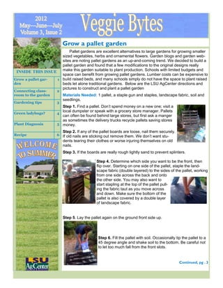 Grow a pallet garden 
INSIDE THIS ISSUE 
Grow a pallet gar-den 
1 
Connecting class-room 
to the garden 
2 
Gardening tips 3 
Green ladybugs? 4 
Plant Diagnosis 5 
Recipe 6 
Pallet gardens are excellent alternatives to large gardens for growing smaller 
sized vegetables, herbs and ornamental flowers. Garden blogs and garden web-sites 
are noting pallet gardens as an up-and-coming trend. We decided to build a 
pallet garden and found that a few modifications to the original designs really 
make this garden suitable to plant production. Schools with limited budgets and 
space can benefit from growing pallet gardens. Lumber costs can be expensive to 
build raised beds, and many schools simply do not have the space to plant raised 
beds let alone traditional gardens. Below are the LSU AgCenter directions and 
pictures to construct and plant a pallet garden 
Materials Needed: 1 pallet, a staple gun and staples, landscape fabric, soil and 
seedlings. 
Step 1. Find a pallet. Don’t spend money on a new one; visit a 
local dumpster or speak with a grocery store manager. Pallets 
can often be found behind large stores, but first ask a manger 
as sometimes the delivery trucks recycle pallets saving stores 
money. 
Step 2. If any of the pallet boards are loose, nail them securely. 
If old nails are sticking out remove them. We don’t want stu-dents 
tearing their clothes or worse injuring themselves on old 
nails. 
Step 3. If the boards are really rough lightly sand to prevent splinters. 
Step 4. Determine which side you want to be the front, then 
flip over. Starting on one side of the pallet, staple the land-scape 
fabric (double layered) to the sides of the pallet, working 
from one side across the back and onto 
the other side. You may also want to 
start stapling at the top of the pallet pull-ing 
the fabric taut as you move across 
and down. Make sure the bottom of the 
pallet is also covered by a double layer 
of landscape fabric. 
Step 5. Lay the pallet again on the ground front side up. 
Step 6. Fill the pallet with soil. Occasionally tip the pallet to a 
45 degree angle and shake soil to the bottom. Be careful not 
to let too much fall from the front slots. 
Continued, pg . 3 
Page Veggie Bytes 
 