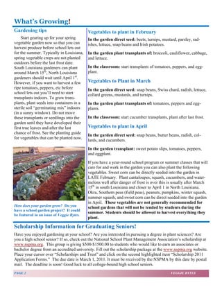 What’s Growing! 
Gardening tips 
Start gearing up for your spring 
vegetable garden now so that you can 
harvest produce before school lets out 
for the summer. Typically in Louisiana, 
spring vegetable crops are not planted 
outdoors before the last frost date. 
South Louisiana gardeners can plant 
around March 15th, North Louisiana 
gardeners should wait until April 1st. 
However, if you want to harvest a few 
ripe tomatoes, peppers, etc before 
school lets out you’ll need to start 
transplants indoors. To grow trans-plants, 
plant seeds into containers in a 
sterile soil “germinating mix” indoors 
(in a sunny window). Do not move 
these transplants or seedlings into the 
garden until they have developed their 
first true leaves and after the last 
chance of frost. See the planting guide 
for vegetables that can be planted now. 
Vegetables to plant in February 
In the garden direct seed: beets, turnips, mustard, parsley, rad-ishes, 
lettuce, snap beans and Irish potatoes. 
In the garden plant transplants of: broccoli, cauliflower, cabbage, 
and lettuce. 
In the classroom: start transplants of tomatoes, peppers, and egg-plant. 
Vegetables to Plant in March 
In the garden direct seed: snap beans, Swiss chard, radish, lettuce, 
collard greens, mustards, and turnips. 
In the garden plant transplants of: tomatoes, peppers and egg-plants. 
In the classroom: start cucumber transplants, plant after last frost. 
Vegetables to plant in April 
In the garden direct seed: snap beans, butter beans, radish, col-lards, 
and cucumbers. 
In the garden transplant: sweet potato slips, tomatoes, peppers, 
and eggplant. 
If you have a year-round school program or summer classes that will 
care for and work in the garden you can also plant the following 
vegetables. Sweet corn can be directly seeded into the garden in 
LATE February. Plant cantaloupes, squash, cucumbers, and water-melons 
well after danger of frost is over this is usually after March 
15th in south Louisiana and closer to April 1 in North Louisiana. 
Okra, Southern peas (field peas), peanuts, pumpkins, winter squash, 
summer squash, and sweet corn can be direct seeded into the garden 
in April. These vegetables are not generally recommended for 
school gardens that will not be tended by students during the 
summer. Students should be allowed to harvest everything they 
plant. 
How does your garden grow? Do you 
have a school garden project? It could 
be featured in an issue of Veggie Bytes. 
Scholarship Information for Graduating Seniors! 
Have you enjoyed gardening at your school? Are you interested in pursuing a degree in plant sciences? Are 
you a high school senior? If so, check out the National School Plant Management Association’s scholarship at 
www.nspma.org. This group is giving $500-$1500.00 to students who would like to earn an associates or 
bachelor degree from an accredited university. Fill out the scholarship package at the www.nspma.org website. 
Place your cursor over “Scholarships and Trust” and click on the second highlighted item “Scholarship 2011 
Application Forms.” The due date is March 1, 2011. It must be received by the NSPMA by this date by postal 
mail. The deadline is soon! Good luck to all college-bound high school seniors. 
PAGE 2 VEGGIE BYTES 
 