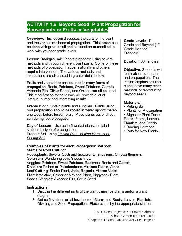 Colorado School Garden Lesson Plan a6 Beyond Seed Plant Propagation