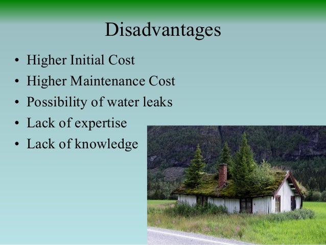 disadvantages of green roofs