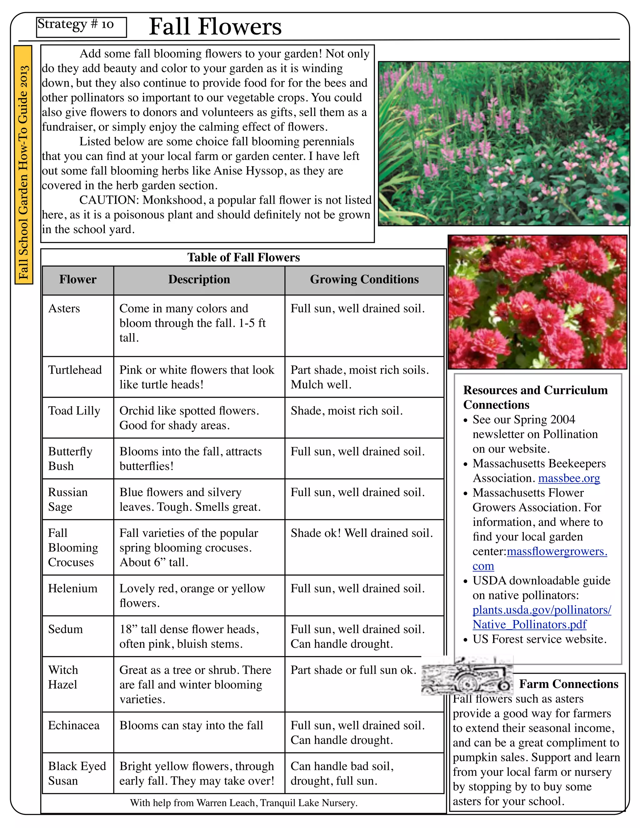 Fall School Garden How-To Guide 2013 
Fall Flowers 
Add some fall blooming flowers to your garden! Not only 
do they add beauty and color to your garden as it is winding 
down, but they also continue to provide food for for the bees and 
other pollinators so important to our vegetable crops. You could 
also give flowers to donors and volunteers as gifts, sell them as a 
fundraiser, or simply enjoy the calming effect of flowers. 
Listed below are some choice fall blooming perennials 
that you can find at your local farm or garden center. I have left 
out some fall blooming herbs like Anise Hyssop, as they are 
covered in the herb garden section. 
CAUTION: Monkshood, a popular fall flower is not listed 
here, as it is a poisonous plant and should definitely not be grown 
in the school yard. 
Table of Fall Flowers 
Flower Description Growing Conditions 
Asters Come in many colors and 
bloom through the fall. 1-5 ft 
tall. 
Full sun, well drained soil. 
Turtlehead Pink or white flowers that look 
like turtle heads! 
Part shade, moist rich soils. 
Mulch well. 
Toad Lilly Orchid like spotted flowers. 
Good for shady areas. 
Shade, moist rich soil. 
Butterfly 
Bush 
Blooms into the fall, attracts 
butterflies! 
Full sun, well drained soil. 
Russian 
Sage 
Blue flowers and silvery 
leaves. Tough. Smells great. 
Full sun, well drained soil. 
Fall 
Blooming 
Crocuses 
Fall varieties of the popular 
spring blooming crocuses. 
About 6” tall. 
Shade ok! Well drained soil. 
Helenium Lovely red, orange or yellow 
flowers. 
Full sun, well drained soil. 
Sedum 18” tall dense flower heads, 
often pink, bluish stems. 
Full sun, well drained soil. 
Can handle drought. 
Witch 
Hazel 
Great as a tree or shrub. There 
are fall and winter blooming 
varieties. 
Part shade or full sun ok. 
Echinacea Blooms can stay into the fall Full sun, well drained soil. 
Can handle drought. 
Black Eyed 
Susan 
Bright yellow flowers, through 
early fall. They may take over! 
Can handle bad soil, 
drought, full sun. 
With help from Warren Leach, Tranquil Lake Nursery. 
Resources and Curriculum 
Connections 
• See our Spring 2004 
newsletter on Pollination 
on our website. 
• Massachusetts Beekeepers 
Association. massbee.org 
• Massachusetts Flower 
Growers Association. For 
information, and where to 
find your local garden 
center:massflowergrowers. 
com 
• USDA downloadable guide 
on native pollinators: 
plants.usda.gov/pollinators/ 
Native_Pollinators.pdf 
• US Forest service website. 
Farm Connections 
Fall flowers such as asters 
provide a good way for farmers 
to extend their seasonal income, 
and can be a great compliment to 
pumpkin sales. Support and learn 
from your local farm or nursery 
by stopping by to buy some 
asters for your school. 
Strategy # 10 
 