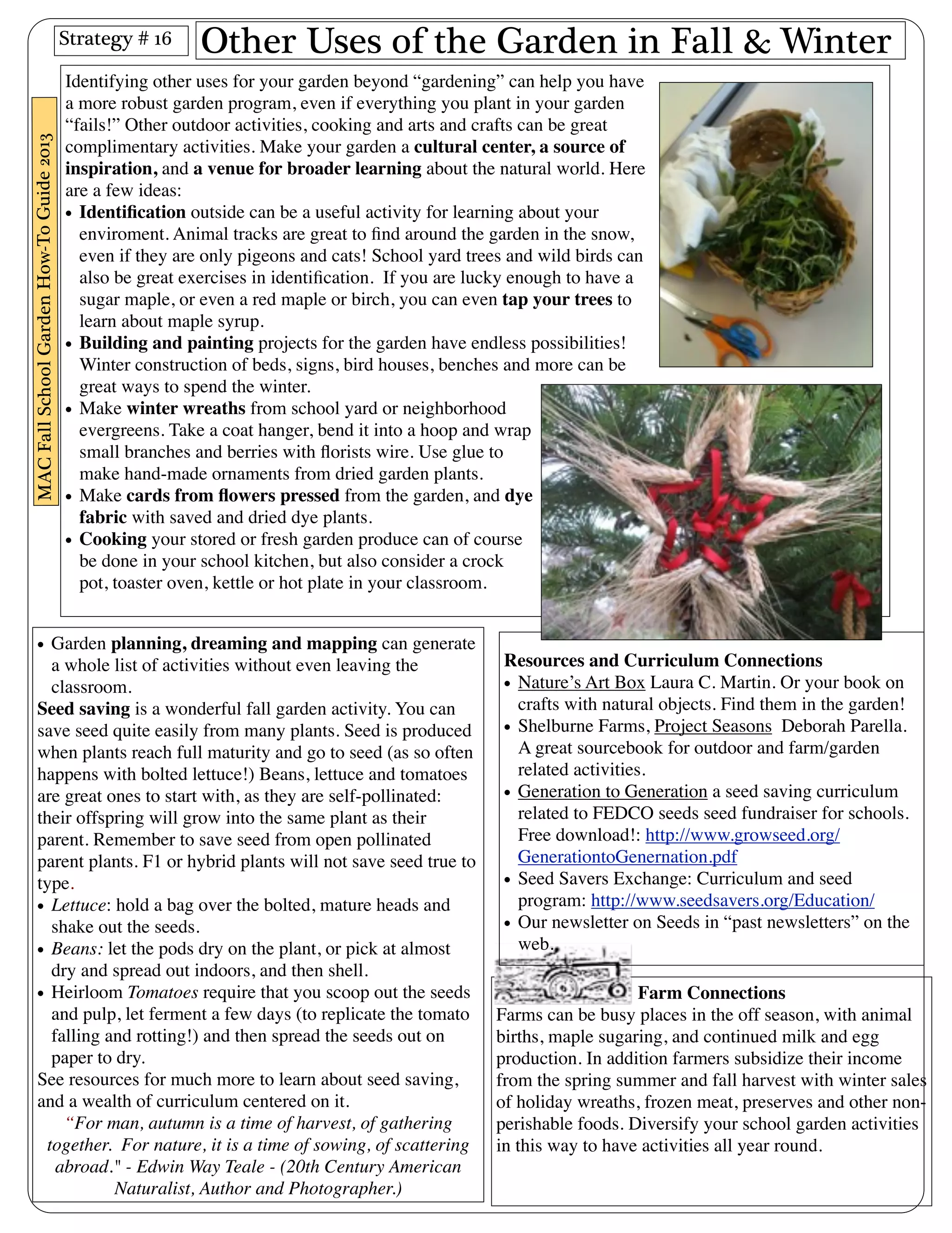 Other Uses of the Garden in Fall & Winter 
• Garden planning, dreaming and mapping can generate 
a whole list of activities without even leaving the 
classroom. 
Seed saving is a wonderful fall garden activity. You can 
save seed quite easily from many plants. Seed is produced 
when plants reach full maturity and go to seed (as so often 
happens with bolted lettuce!) Beans, lettuce and tomatoes 
are great ones to start with, as they are self-pollinated: 
their offspring will grow into the same plant as their 
parent. Remember to save seed from open pollinated 
parent plants. F1 or hybrid plants will not save seed true to 
type. 
• Lettuce: hold a bag over the bolted, mature heads and 
shake out the seeds. 
• Beans: let the pods dry on the plant, or pick at almost 
dry and spread out indoors, and then shell. 
• Heirloom Tomatoes require that you scoop out the seeds 
and pulp, let ferment a few days (to replicate the tomato 
falling and rotting!) and then spread the seeds out on 
paper to dry. 
See resources for much more to learn about seed saving, 
and a wealth of curriculum centered on it. 
“For man, autumn is a time of harvest, of gathering 
together. For nature, it is a time of sowing, of scattering 
abroad." - Edwin Way Teale - (20th Century American 
Naturalist, Author and Photographer.) 
Resources and Curriculum Connections 
• Nature’s Art Box Laura C. Martin. Or your book on 
crafts with natural objects. Find them in the garden! 
• Shelburne Farms, Project Seasons Deborah Parella. 
A great sourcebook for outdoor and farm/garden 
related activities. 
• Generation to Generation a seed saving curriculum 
related to FEDCO seeds seed fundraiser for schools. 
Free download!: http://www.growseed.org/ 
GenerationtoGenernation.pdf 
• Seed Savers Exchange: Curriculum and seed 
program: http://www.seedsavers.org/Education/ 
• Our newsletter on Seeds in “past newsletters” on the 
web. 
Farm Connections 
Farms can be busy places in the off season, with animal 
births, maple sugaring, and continued milk and egg 
production. In addition farmers subsidize their income 
from the spring summer and fall harvest with winter sales 
of holiday wreaths, frozen meat, preserves and other non-perishable 
foods. Diversify your school garden activities 
in this way to have activities all year round. 
Strategy # 16 
Identifying other uses for your garden beyond “gardening” can help you have 
a more robust garden program, even if everything you plant in your garden 
“fails!” Other outdoor activities, cooking and arts and crafts can be great 
complimentary activities. Make your garden a cultural center, a source of 
inspiration, and a venue for broader learning about the natural world. Here 
are a few ideas: 
• Identification outside can be a useful activity for learning about your 
enviroment. Animal tracks are great to find around the garden in the snow, 
even if they are only pigeons and cats! School yard trees and wild birds can 
also be great exercises in identification. If you are lucky enough to have a 
sugar maple, or even a red maple or birch, you can even tap your trees to 
learn about maple syrup. 
• Building and painting projects for the garden have endless possibilities! 
Winter construction of beds, signs, bird houses, benches and more can be 
great ways to spend the winter. 
• Make winter wreaths from school yard or neighborhood 
evergreens. Take a coat hanger, bend it into a hoop and wrap 
small branches and berries with florists wire. Use glue to 
make hand-made ornaments from dried garden plants. 
• Make cards from flowers pressed from the garden, and dye 
fabric with saved and dried dye plants. 
• Cooking your stored or fresh garden produce can of course 
be done in your school kitchen, but also consider a crock 
pot, toaster oven, kettle or hot plate in your classroom. 
MAC Fall School Garden How-To Guide 2013 
 