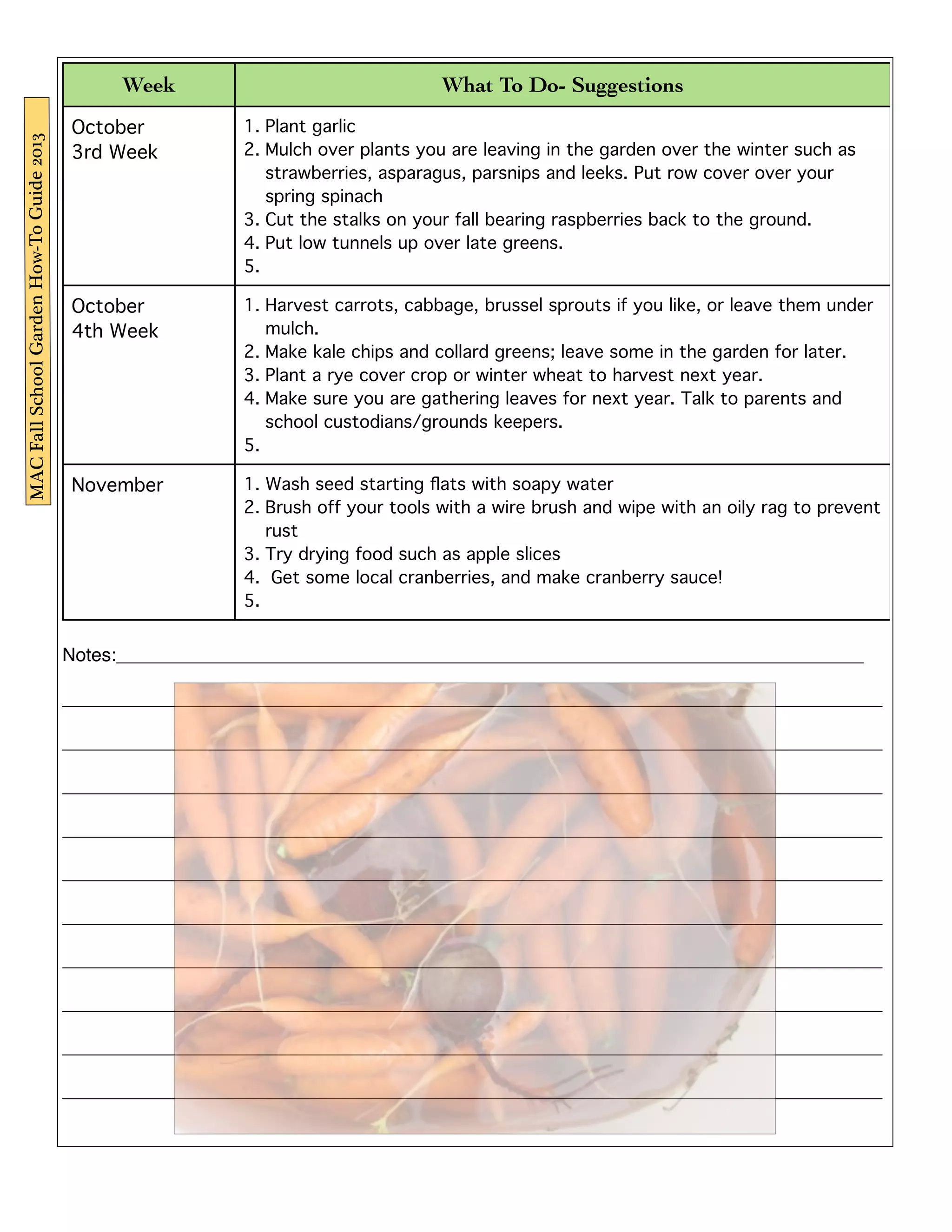 Week What To Do- Suggestions 
October 
3rd Week 
1. Plant garlic 
2. Mulch over plants you are leaving in the garden over the winter such as 
strawberries, asparagus, parsnips and leeks. Put row cover over your 
spring spinach 
3. Cut the stalks on your fall bearing raspberries back to the ground. 
4. Put low tunnels up over late greens. 
5. 
October 
4th Week 
1. Harvest carrots, cabbage, brussel sprouts if you like, or leave them under 
mulch. 
2. Make kale chips and collard greens; leave some in the garden for later. 
3. Plant a rye cover crop or winter wheat to harvest next year. 
4. Make sure you are gathering leaves for next year. Talk to parents and 
school custodians/grounds keepers. 
5. 
November 1. Wash seed starting flats with soapy water 
2. Brush off your tools with a wire brush and wipe with an oily rag to prevent 
rust 
3. Try drying food such as apple slices 
4. Get some local cranberries, and make cranberry sauce! 
5. 
Notes:________________________________________________________________________ 
_______________________________________________________________________________ 
_______________________________________________________________________________ 
_______________________________________________________________________________ 
_______________________________________________________________________________ 
_______________________________________________________________________________ 
_______________________________________________________________________________ 
_______________________________________________________________________________ 
_______________________________________________________________________________ 
_______________________________________________________________________________ 
_______________________________________________________________________________ 
MAC Fall School Garden How-To Guide 2013 
 