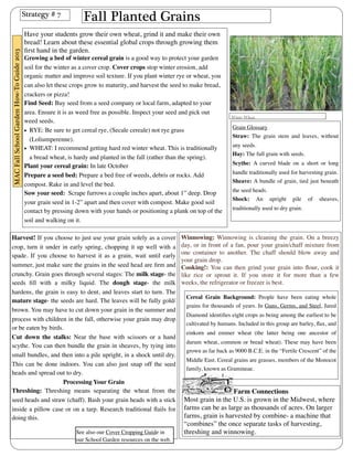 Fall Planted Grains 
Have your students grow their own wheat, grind it and make their own 
bread! Learn about these essential global crops through growing them 
first hand in the garden. 
Growing a bed of winter cereal grain is a good way to protect your garden 
soil for the winter as a cover crop. Cover crops stop winter erosion, add 
organic matter and improve soil texture. If you plant winter rye or wheat, you 
can also let these crops grow to maturity, and harvest the seed to make bread, 
crackers or pizza! 
Find Seed: Buy seed from a seed company or local farm, adapted to your 
area. Ensure it is as weed free as possible. Inspect your seed and pick out 
weed seeds. 
• RYE: Be sure to get cereal rye, (Secale cereale) not rye grass 
(Loliumperenne). 
• WHEAT: I recommend getting hard red winter wheat. This is traditionally 
a bread wheat, is hardy and planted in the fall (rather than the spring). 
Plant your cereal grain: In late October 
Prepare a seed bed: Prepare a bed free of weeds, debris or rocks. Add 
compost. Rake in and level the bed. 
Sow your seed: Scrape furrows a couple inches apart, about 1” deep. Drop 
your grain seed in 1-2” apart and then cover with compost. Make good soil 
contact by pressing down with your hands or positioning a plank on top of the 
soil and walking on it. 
Winnowing: Winnowing is cleaning the grain. On a breezy 
day, or in front of a fan, pour your grain/chaff mixture from 
one container to another. The chaff should blow away and 
your grain drop. 
Cooking!: You can then grind your grain into flour, cook it 
like rice or sprout it. If you store it for more than a few 
weeks, the refrigerator or freezer is best. 
Cereal Grain Background: People have been eating whole 
grains for thousands of years. In Guns, Germs, and Steel, Jared 
Diamond identifies eight crops as being among the earliest to be 
cultivated by humans. Included in this group are barley, flax, and 
einkorn and emmer wheat (the latter being one ancestor of 
durum wheat, common or bread wheat). These may have been 
grown as far back as 9000 B.C.E. in the “Fertile Crescent” of the 
Middle East. Cereal grains are grasses, members of the Monocot 
family, known as Gramineae. 
Farm Connections 
Most grain in the U.S. is grown in the Midwest, where 
farms can be as large as thousands of acres. On larger 
farms, grain is harvested by combine- a machine that 
“combines” the once separate tasks of harvesting, 
threshing and winnowing. 
Strategy # 7 
Winter Wheat. 
Grain Glossary 
Straw: The grain stem and leaves, without 
any seeds. 
Hay: The full grain with seeds. 
Scythe: A curved blade on a short or long 
handle traditionally used for harvesting grain. 
Sheave: A bundle of grain, tied just beneath 
the seed heads. 
Shock: An upright pile of sheaves, 
traditionally used to dry grain. 
MAC Fall School Garden How-To Guide 2013 
Harvest! If you choose to just use your grain solely as a cover 
crop, turn it under in early spring, chopping it up well with a 
spade. If you choose to harvest it as a grain, wait until early 
summer, just make sure the grains in the seed head are firm and 
crunchy. Grain goes through several stages: The milk stage- the 
seeds fill with a milky liquid. The dough stage- the milk 
hardens, the grain is easy to dent, and leaves start to turn. The 
mature stage- the seeds are hard. The leaves will be fully gold/ 
brown. You may have to cut down your grain in the summer and 
process with children in the fall, otherwise your grain may drop 
or be eaten by birds. 
Cut down the stalks: Near the base with scissors or a hand 
scythe. You can then bundle the grain in sheaves, by tying into 
small bundles, and then into a pile upright, in a shock until dry. 
This can be done indoors. You can also just snap off the seed 
heads and spread out to dry. 
Processing Your Grain 
Threshing: Threshing means separating the wheat from the 
seed heads and straw (chaff). Bash your grain heads with a stick 
inside a pillow case or on a tarp. Research traditional flails for 
doing this. 
See also our Cover Cropping Guide in 
our School Garden resources on the web. 
 