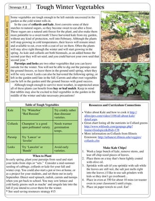 Tough Winter Vegetables 
Some vegetables are tough enough to be left outside uncovered in the 
garden as the cold winter rolls in. 
In the case of collards and kale, frost converts some of their 
starches to natural sugars, so they become sweet to eat after a frost. 
These sugars are a natural anti-freeze for the plant, and also make them 
more palatable to a sweet tooth! I have harvested kale from my garden, 
without any kind of protection, well into February. Although the plants 
will stop growing in cold temperatures, their leaves will remain intact 
and available to eat, even with a coat of ice on them. Often the plants 
will stay alive right through the winter and will start growing in the 
spring. As kale and collards are both biennuals, as an added bonus the 
second year they will set seed, and you could harvest your own seed that 
second year. * 
Parsnips and leeks are two other vegetables that you can leave 
outside for the winter. You will not be able to dig out the parsnips once 
the ground freezes, so leave them in the ground until spring, when they 
will be very sweet. Leeks can also be harvested the following spring, or 
left in the garden until late in the fall. Carrots and other root vegetables 
can be left in the garden until the ground freezes with good success. 
Although tough enough to survive most weather, in unprotected areas 
all of these plants can benefit from hay or leaf mulch. Keep in mind 
that rabbits may also be excited to find vegetables in the garden in the 
middle of the winter and take necessary precautions! 
Table of Tough Vegetables 
Kale Try ‘Winterbor’ 
“Red Russian” 
Try crinkly rather 
than dinosaur 
varieties. 
Collards Champion’ is a good 
open pollinated variety. 
Needs warmer 
germination 
temps. 
Parsnip Try ‘Lancer’ or 
‘Javelin’ 
Leeks Try ‘Lancelot’ or 
‘Bandit’ 
Avoid early 
varieties. 
When to Plant 
In early spring, plant your parsnips from seed and start 
your leeks from slips or “sets.” Consider a mid-summer 
seeding of cabbage, collards or kale for your fall and 
winter crop. You could also start a pot or two at home, or 
as a project for your students, and set them out in early 
September. Direct seed spinach, radish, carrots and turnips 
when you get back to school. You may sow lettuce and 
cold hardy greens such as mache´ and arugula late into the 
fall if you intend to cover them for the winter. 
* See seed saving resources strategy #15 
Resources and Curriculum Connections 
• Video about Kale and how to cook it http:// 
allrecipes.com/video/1106/all-about-kale/ 
detail.aspx 
• Great chart listing all the nutrients in Collard greens 
http://www.whfoods.com/genpage.php? 
tname=foodspice&dbid=138 
• More information on Collards from Illinois 
Extension: http://urbanext.illinois.edu/veggies/ 
collards.cfm 
Make Kale Chips! 
1. Wash a large bunch of kale, remove stems, and 
tear off chip-sized pieces of leaves. 
2. Place them on a tray that’s been lightly coated 
with olive oil. 
3. Sprinkle with salt (if you sprinkle with salt while 
the leaves are still wet, the salt just melts right 
into the leaves.) I like to use salt grinders with 
kids so they don’t go overboard... 
4. Place in oven at 350 for about 10 mins (or toaster 
oven in your classroom!) until crispy. 
5. Place on paper towels to cool. Eat! 
Strategy # 2 
MAC Fall School Garden How-To Guide 2013 
 
