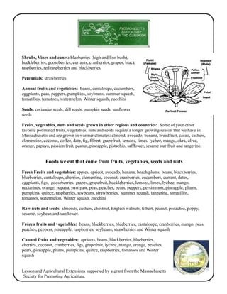 Shrubs, Vines and canes: blueberries (high and low bush), 
huckleberries, gooseberries, currants, cranberries, grapes, black 
raspberries, red raspberries and blackberries. 
Perennials: strawberries 
Annual fruits and vegetables: beans, cantaloupe, cucumbers, 
eggplants, peas, peppers, pumpkins, soybeans, summer squash, 
tomatillos, tomatoes, watermelon, Winter squash, zucchini 
Seeds: coriander seeds, dill seeds, pumpkin seeds, sunflower 
seeds 
Fruits, vegetables, nuts and seeds grown in other regions and countries: Some of your other 
favorite pollinated fruits, vegetables, nuts and seeds require a longer growing season that we have in 
Massachusetts and are grown in warmer climates: almond, avocado, banana, breadfruit, cacao, cashew, 
clementine, coconut, coffee, date, fig, filbert, grapefruit, lemons, limes, lychee, mango, okra, olive, 
orange, papaya, passion fruit, peanut, pineapple, pistachio, safflower, sesame star fruit and tangerine. 
Foods we eat that come from fruits, vegetables, seeds and nuts 
Fresh Fruits and vegetables: apples, apricot, avocado, banana, beach plums, beans, blackberries, 
blueberries, cantaloupe, cherries, clementine, coconut, cranberries, cucumbers, currant, dates, 
eggplants, figs, gooseberries, grapes, grapefruit, huckleberries, lemons, limes, lychee, mango, 
nectarines, orange, papaya, paw paw, peas, peaches, pears, peppers, persimmon, pineapple, plums, 
pumpkins, quince, raspberries, soybeans, strawberries, summer squash, tangerine, tomatillos, 
tomatoes, watermelon, Winter squash, zucchini 
Raw nuts and seeds: almonds, cashew, chestnut, English walnuts, filbert, peanut, pistachio, poppy, 
sesame, soybean and sunflower. 
Frozen fruits and vegetables: beans, blackberries, blueberries, cantaloupe, cranberries, mango, peas, 
peaches, peppers, pineapple, raspberries, soybeans, strawberries and Winter squash 
Canned fruits and vegetables: apricots, beans, blackberries, blueberries, 
cherries, coconut, cranberries, figs, grapefruit, lychee, mango, orange, peaches, 
pears, pienapple, plums, pumpkins, quince, raspberries, tomatoes and Winter 
squash 
Lesson and Agricultural Extensions supported by a grant from the Massachusetts 
Society for Promoting Agriculture. 
 