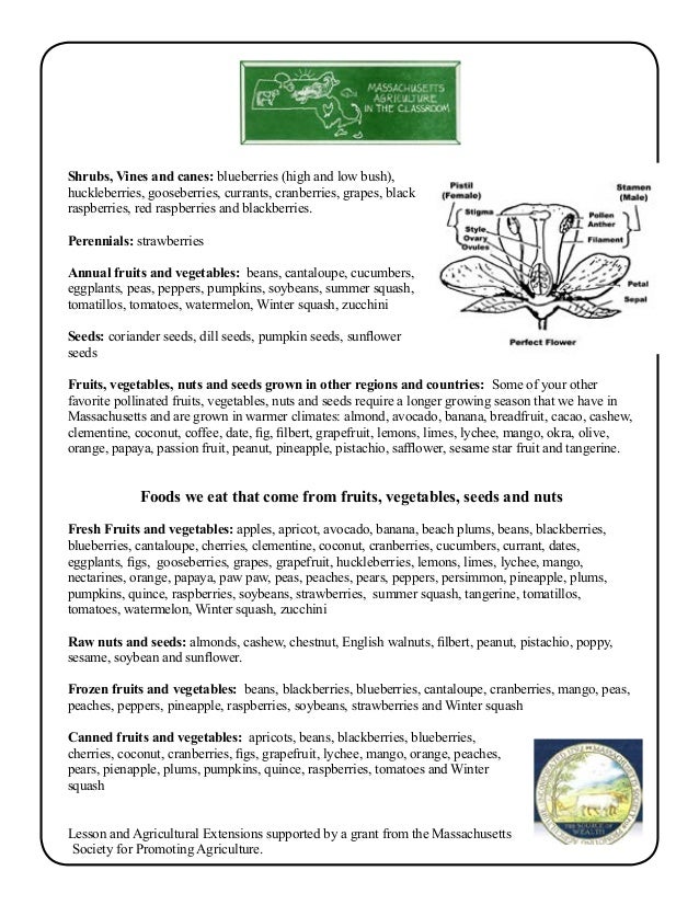 Grade 1 School Garden Lesson Plan - Pollination Lesson; Pollinators H…