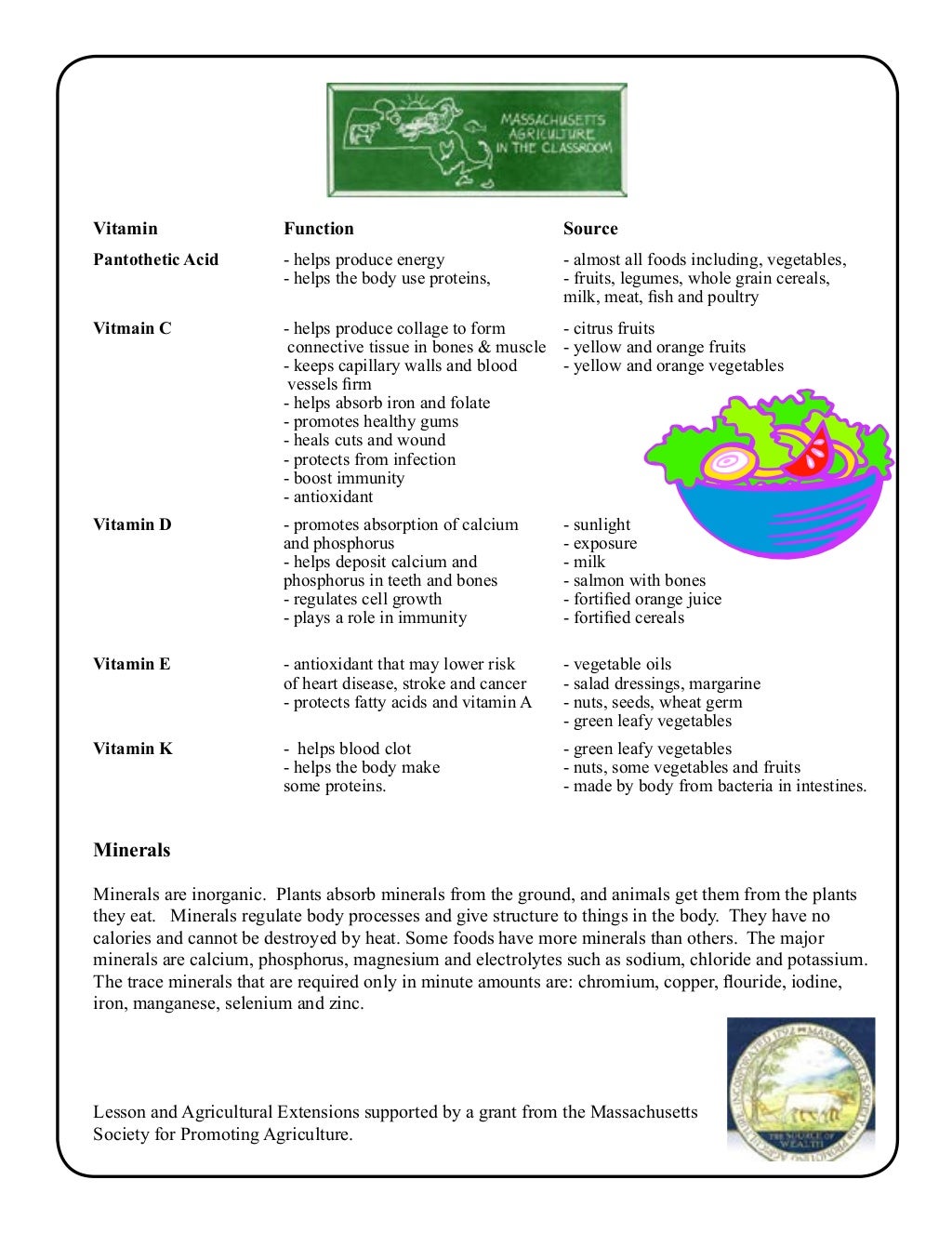Grade 3 School Garden Lesson Plan Leaf Lesson; Plants and Nutrition…