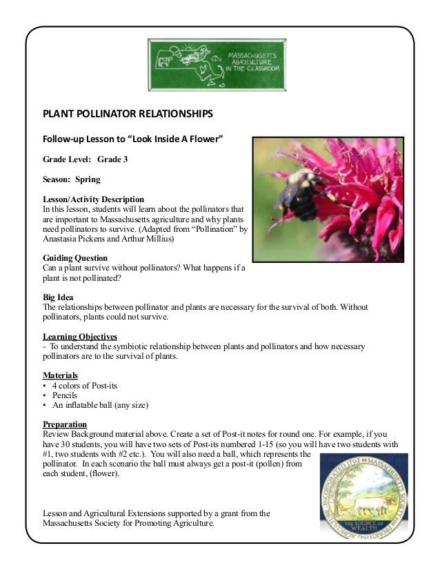 Grade 3 School Garden Lesson Plan Pollination Lesson; Pollinator Pa…