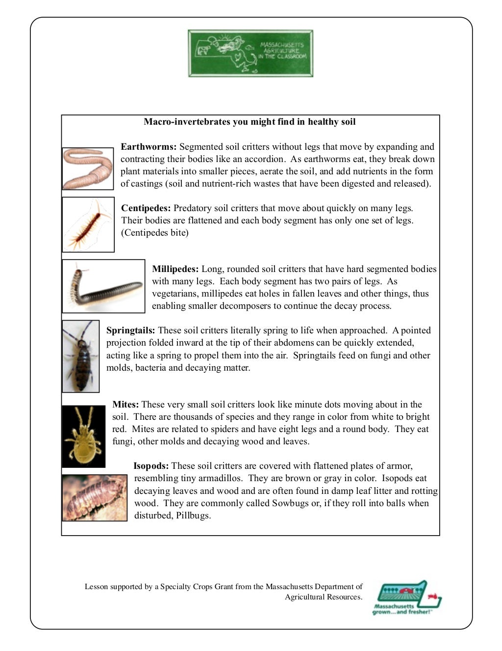 Grade 3 School Garden Lesson Plan - Seeds Lesson; Wild Beasts of the