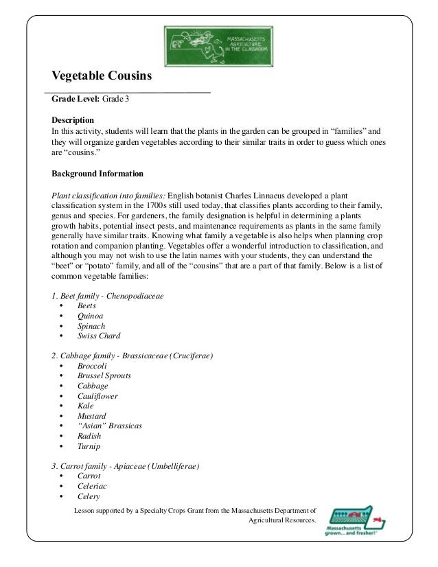 Grade 3 School Garden Lesson Plan - Vegetable Cousins ~ Massachusetts