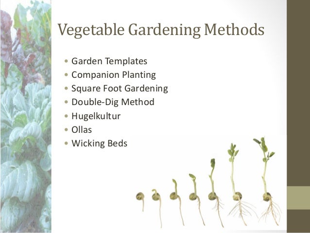 vegetable garden templates