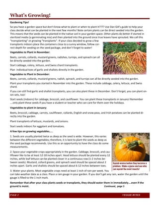 What’s Growing! 
Gardening Tips! 
So you have a garden space but don’t know what to plant or when to plant it???? Use Dan Gill’s guide to help your 
class decide what can be planted in the next few months! Note certain plants can be direct seeded into the garden. 
This means that the seeds can be planted in the native soil in your garden space. Other plants do better if started in 
sterilized media (a germinating mix) and then planted into the ground once true leaves have sprouted. We call this 
“transplanting” or growing “transplants”. If your class decided to grow a few 
transplants indoors place the containers close to a sunny window, follow cor‐rect 
depth for seeding on the seed package, and don’t forget to water! 
Vegetables to Plant in November: 
Beets, carrots, collards, mustard greens, radishes, turnips, and spinach can all 
be directly seeded into the garden. 
Start cabbage, celery, lettuce, and Swiss chard transplants. 
Plan individual toes of garlic and shallots directly in the garden. 
Vegetables to Plant in December: 
Beets, carrots, collards, mustard greens, radish, spinach, and turnips can all be directly seeded into the garden. 
Plant your transplants you started in November into the garden. These include cabbage, celery, lettuce, and Swiss 
chard. 
If you can still find garlic and shallot transplants, you can also plant these in December. Don’t forget, you can plant on‐ion 
sets, too! 
Start seeds (indoors) for cabbage, broccoli, and cauliflower. You can plant these transplants in January! Remember 
….only plant these seeds if you have a student or teacher who can care for them over the holidays. 
Vegetables to plant in January: 
Beets, broccoli, cabbage, carrots, cauliflower, collards, English and snow peas, and Irish potatoes can be planted di‐rectly 
into the garden. 
Plant transplants of lettuce, mustards, and onions. 
Start seeds indoors for eggplant and tomatoes. 
A few tips on growing vegetables….. 
1. Seeds are usually planted twice as deep as the seed is wide. However, this varies 
between the different vegetables; therefore, it is best to plant the seeds as deep as 
the seed package recommends. Use this as an opportunity to have the class do some 
measurements. 
2. Space your vegetable crops appropriately in the garden. Cabbage, broccoli, and cau‐liflower 
like to be at least 12‐18 inches apart. Head lettuce should be planted every 12 
inches, while leaf lettuce can be planted closer in a continuous row (1‐2 inches be‐tween 
seeds). Mustard, collard greens, and spinach seed should be spaced about 2 
inches apart. Garlic and shallots should be spaced about 6‐12 inches between toes. 
3. Water your plants. Most vegetable crops need at least 1 inch of rain per week. You 
can take weather data as a class. Place a rain gauge in your garden. If you don’t get any rain, water the garden until the 
gauge is filled to the 1 inch mark. 
Remember that after your class plants seeds or transplants, they should water them in immediately….even if the 
ground is moist. Continued, page 5 
PAGE 2 VEGGIE BYTES 
 