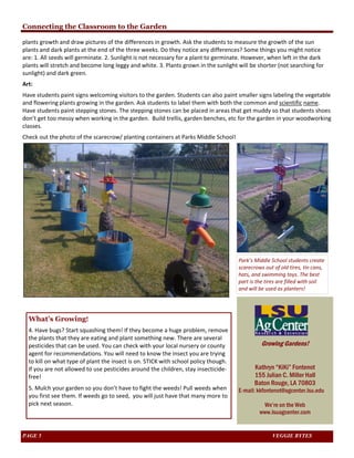 Connecting the Classroom to the Garden 
plants growth and draw pictures of the differences in growth. Ask the students to measure the growth of the sun 
plants and dark plants at the end of the three weeks. Do they notice any differences? Some things you might notice 
are: 1. All seeds will germinate. 2. Sunlight is not necessary for a plant to germinate. However, when left in the dark 
plants will stretch and become long leggy and white. 3. Plants grown in the sunlight will be shorter (not searching for 
sunlight) and dark green. 
Art: 
Have students paint signs welcoming visitors to the garden. Students can also paint smaller signs labeling the vegetable 
and flowering plants growing in the garden. Ask students to label them with both the common and scientific name. 
Have students paint stepping stones. The stepping stones can be placed in areas that get muddy so that students shoes 
don’t get too messy when working in the garden. Build trellis, garden benches, etc for the garden in your woodworking 
classes. 
Check out the photo of the scarecrow/ planting containers at Parks Middle School! 
Park’s Middle School students create 
scarecrows out of old tires, tin cans, 
hats, and swimming toys. The best 
part is the tires are filled with soil 
and will be used as planters! 
What’s Growing! 
4. Have bugs? Start squashing them! If they become a huge problem, remove 
the plants that they are eating and plant something new. There are several 
pesticides that can be used. You can check with your local nursery or county 
agent for recommendations. You will need to know the insect you are trying 
to kill on what type of plant the insect is on. STICK with school policy though. 
If you are not allowed to use pesticides around the children, stay insecticide‐free! 
5. Mulch your garden so you don’t have to fight the weeds! Pull weeds when 
you first see them. If weeds go to seed, you will just have that many more to 
pick next season. 
Growing Gardens! 
Kathryn “KiKi” Fontenot 
155 Julian C. Miller Hall 
Baton Rouge, LA 70803 
E-mail: kkfontenot@agcenter.lsu.edu 
We’re on the Web 
www.lsuagcenter.com 
PAGE 5 VEGGIE BYTES 
