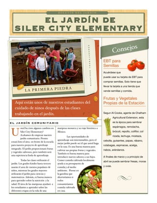 B O L E T Í N D E L J A R D Í N 
EL JARDÍN DE 
SILER CITY ELEMENTARY 
Aquí están unos de nuestros estudiantes del 
cuidado de ninos después de las clases 
trabajando en el jardín. 
Consejos 
L A P R I M E R A P I E D R A 
sted ha visto algunos cambios en 
Siler City Elementary? 
Acabamos de empezar nuestro 
jardín comunitario. Pronto 
estará listo el área en frente de la escuela 
para nuestro proyecto de apredizaje 
integrado. El jardín proporcionará frutas 
y vegetales sabrosos, pero también será 
una experiencia linda de aprendizaje. 
Todas las clases utilizarán el 
jardín. Los grados kinder hasta tercero 
usarán el area de cuentos populares de 
niños, mientras los grados mayores 
utilizarán el jardín para ciencias y 
matematicas. Además, es buena manera 
para aprender sobre la nutrición y la 
salud. El área de las mariposas ayudará a 
los estudiantes a aprender sobre las 
diferentes etapas en la vida de una 
mariposa monarca y su viaje histórico a 
México. 
Las oportunidades de 
aprendizaje son interminables, pero el 
mejor jardín puede ser él que usted haga 
en la casa. Es una buena manera para 
cultivar sus propias frutas y vegetales. 
También es buena manera para 
introducir nuevos sabores a sus hijos. 
Comer comida cultivada localmente 
ayuda a su presupuesto de 
comida y al medio 
ambiente. Piense en 
la gasolina que 
ahorraríamos si 
todos 
consumiríamos 
comida cultivada 
en casa. 
EBT para 
Semillas 
Acuérdese que 
puede usar su tarjeta de EBT para 
comprar semillas. Solo tiene que 
llevar la tarjeta a una tienda que 
vende semillas y comida. 
Frutas y Vegetales 
Propias de la Estación 
Segun Al Cooke, agente de Chatham 
Agricultural Extension, esta 
es la época para sembrar 
espárragos, remolacha, 
brócoli, repollo, coliflor, col 
rizada, lechuga, mostaza, 
cebolla, guisantes, papas, rábano, 
rutabagas, espinacas, acelga, 
nabos, arándanos. 
A finales de marzo y a principio de 
abril se puede sembrar fresas, moras 
y uvas. 
el jardín comunitario 
U 
nuestros trabajadores 
 