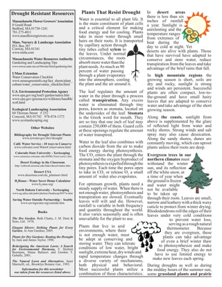 Plants That Resist Drought 
Water is essential to all plant life. It 
is the main constituent of plant cells 
and a critical element for making 
food energy and for cooling. Plants 
take in most water through small 
hairs on their roots. It is transported 
by capillary action through 
tiny tubes called xylem to 
the leaves. Under normal 
circumstances, the roots 
absorb more water than the 
plant needs. As much as 90 
percent of water passing 
through a plant evaporates 
into the atmosphere, cooling 
the plant and the air around it. 
The leaf regulates the amount of 
water in the plant through a process 
called transpiration. Any excess 
water is eliminated through tiny 
pores, known as stomata, located on 
the undersides of the leaf. Stomata 
is the Greek word for mouth. They 
are so tiny that one inch of leaf may 
contain 250,000 of them. Guard cells 
at these openings regulate the amount 
of water transpired. 
Plants that live in arid 
environments, where there 
is not enough water, must 
be adept at conserving and 
storing water. They can tolerate 
conditions of low water, bright 
sunlight, extreme heat, dry winds and 
rapid temperature changes through 
a diverse variety of mechanisms, 
both physical and behavioral. 
Most successful plants utilize a 
combination of these characteristics. 
In desert areas 
there is less than six 
inches of rainfall 
a year. Sunlight is 
unrelenting and the 
temperature ranges 
from extremes of 
heat during the 
day to cold at night. Yet 
deserts are alive with plants. Those 
that have survived have adapted to 
conserve and store water, reduce 
transpiration from the leaves and take 
advantage of the brief rains that fall. 
In high mountain regions the 
growing season is short, soils are 
dry and rocky, sunlight is strong 
and winds are persistent. Successful 
plants are often compact, low-to-the- 
ground and have small hairy 
leaves that are adapted to conserve 
water and take advantage of the short 
growing season. 
Along the coasts, sunlight from 
above is supplemented by the glare 
of reflected light from water and 
rocky shores. Strong winds and salt 
spray may also cause dessication. 
Along the sandy shores, dunes are 
constantly moving, which can uproot 
plants unless their roots are deep. 
During droughts as well as during 
the midday hours of the summer sun, 
some grassland plants and prairie 
Drought Resistant Resources 
Massachusetts Flower Growers’ Association 
8 Gould Road 
Bedford, MA 01730-1241 
781-275-4811 
www.massflowergrowers.com 
Mass. Nursery & Landscape Association 
P.O. Box 387 
Conway, MA 01341 
www.mnla.com 
Massachusetts Water Resources Authority 
Gardening and Landscaping Tips 
www.mwra.state.ma.us/04water/html/gardening.htm 
UMass Extension 
Water Conservation Checklist 
www.umassgreeninfo.org/fact_sheets/plant_ 
culture/water_conservation_checklist.html 
U.S. Environmental Protection Agency 
www.epa.gov/reg3esd1/garden/natres.htm 
www.epa.gov/greenacres/wildones/handbk/ 
wo8.html 
Ecological Landscaping Association 
60 Thoreau Street # 252 
Concord, MA 01742 978-874-1373 
www.ecolandscaping.org 
Other Websites 
Bibliography for Drought Tolerant Plants 
www.azwater.gov/dwr/drought/ 
Calif. Water Service - 10 ways to Conserve 
www.calwater.com/WaterConservation.html 
Colorado State University - Xeriscaping 
www.extension.colostate.edu/4DMG/Xeris/xeris1.htm 
Desert Ecology in the Classroom 
http://eebweb.arizona.edu/links/desert/index.htm 
Dessert USA 
www.desertusa.com/du_plantsurv.html 
H2House - Water Saver Home Calculator 
www.h2ouse.org/ 
North Dakota University - Xeriscaping 
www.ag.ndsu.edu/pubs/plantsci/landscap/h957w.htm 
Saving Water Outside Partnership - Seattle 
www.savingwater.org/outside.htm 
Books 
The Dry Garden, Beth Chatto, J. M. Dent & 
Sons, Ltd. 1978. 
Elegant Silvers: Striking Plants for Every 
Garden, Jo Ann Gardner, 2005. 
Plants for Dry Gardens: Beating the Drought 
by Jane and James Taylor, 1998. 
Redesigning the American Lawn: A Search 
for Environmental Harmony, F. Herbert 
Bormann, Diana Balmori and Gordon T. 
Geballe, 2001. 
The Natural Lawn and Alternatives, Janet 
Marinelli, ed., Brooklyn Botanic Gar., 1993. 
Information for this newsletter 
was taken from the resources listed above. 
Evergreen trees in our 
northern climates must 
withstand the winter 
sun, and its reflection 
off the white snow, at 
a time of year when 
the ground is frozen 
and water might 
not be available 
to be taken up 
through their roots. Leaves are small, 
narrow and leathery with a thick waxy 
cuticle to protect from winter drying. 
Rhododendrons roll the edges of their 
leaves under very cold conditions 
to prevent water loss, 
serving as a rough natural 
thermometer. Because 
they are evergreen, these 
plants can take advantage 
of even a brief winter thaw 
to photosynthesize and make 
food energy. They also do not 
have to use limited energy to 
make new leaves each spring. 
Water in the leaf also combines with 
carbon dioxide from the air to make 
food energy during photosynthesis. 
The CO2 enters the plant through the 
stomata and the oxygen byproduct of 
photosynthesis is expelled through the 
tiny pores. Each time the pores open 
to take in CO2 or release O2 a small 
amount of water also evaporates. 
For optimum growth, plants need a 
steady supply of water. When there is 
not enough water, photosynthesis and 
transpiration are slowed. Eventually 
leaves will wilt and die. However, 
rainfall is variable in both frequency 
and quantity throughout the world. 
It also varies seasonally and is often 
unavailable for the plant to use. 
 
