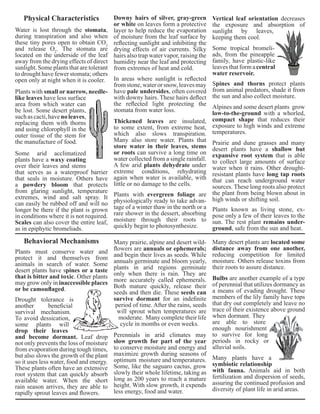 Thickened leaves are insulated, 
to some extent, from extreme heat, 
which also slows transpiration. 
Many also store water. Plants that 
store water in their leaves, stems 
or roots can survive a long time on 
water collected from a single rainfall. 
A few arid plants dehydrate under 
extreme conditions, rehydrating 
again when water is available, with 
little or no damage to the cells. 
Physical Characteristics 
Water is lost through the stomata, 
during transpiration and also when 
these tiny pores open to obtain CO2 
and release O2. The stomata are 
located on the underside of the leaf 
away from the drying effects of direct 
sunlight. Some plants that are tolerant 
to drought have fewer stomata; others 
open only at night when it is cooler. 
Some arid acclimatized 
plants have a waxy coating 
over their leaves and stems 
that serves as a waterproof barrier 
that seals in moisture. Others have 
a powdery bloom that protects 
from glaring sunlight, temperature 
extremes, wind and salt spray. It 
can easily be rubbed off and will no 
longer be there if the plant is grown 
in conditions where it is not required. 
Scales can also cover the entire leaf, 
as in epiphytic bromeliads. 
Downy hairs of silver, gray-green 
or white on leaves form a protective 
layer to help reduce the evaporation 
of moisture from the leaf surface by 
reflecting sunlight and inhibiting the 
drying effects of air currents. Silky 
hairs also trap water vapor, raising the 
humidity near the leaf and protecting 
from extremes of heat and cold. 
In areas where sunlight is reflected 
from stone, water or snow, leaves may 
have pale undersides, often covered 
with downy hairs. These hairs deflect 
the reflected light protecting the 
stomata from water loss. 
Plants with small or narrow, needle-like 
leaves have less surface 
area from which water can 
be lost. Some desert plants, 
such as cacti, have no leaves, 
replacing them with thorns 
and using chlorophyll in the 
outer tissue of the stem for 
the manufacture of food. 
Plants with evergreen foliage are 
physiologically ready to take advan-tage 
of a winter thaw in the north or a 
rare shower in the dessert, absorbing 
moisture through their roots to 
quickly begin to photosynthesize. 
Vertical leaf orientation decreases 
the exposure and absorption of 
sunlight by leaves, 
keeping them cool. 
Some tropical bromeli-ads, 
from the pineapple 
family, have plastic-like 
leaves that form a central 
water reservoir. 
Spines and thorns protect plants 
from animal predators, shade it from 
the sun and also collect moisture. 
Alpines and some desert plants grow 
low-to-the-ground with a whorled, 
compact shape that reduces their 
exposure to high winds and extreme 
temperatures. 
Prairie and dune grasses and many 
desert plants have a shallow but 
expansive root system that is able 
to collect large amounts of surface 
water when it rains. Other drought-resistant 
plants have long tap roots 
that can reach underground water 
sources. These long roots also protect 
the plant from being blown about in 
high winds or shifting soil. 
Plants known as living stone, ex-pose 
only a few of their leaves to the 
sun. The rest plant remains under-ground, 
safe from the sun and heat. 
Drought tolerance is 
another beneficial 
survival mechanism. 
To avoid dessication, 
some plants will 
drop their leaves 
and become dormant. Leaf drop 
not only prevents the loss of moisture 
from evaporation during tough times, 
but also slows the growth of the plant 
so it uses less water, food and energy. 
These plants often have an extensive 
root system that can quickly absorb 
available water. When the short 
rain season arrives, they are able to 
rapidly sprout leaves and flowers. 
Perennials in arid climates may 
slow growth for part of the year 
to conserve moisture and energy and 
maximize growth during seasons of 
optimum moisture and temperatures. 
Some, like the saguaro cactus, grow 
slowly their whole lifetime, taking as 
long as 200 years to reach a mature 
height. With slow growth, it expends 
less energy, food and water. 
Many desert plants are located some 
distance away from one another, 
reducing competition for limited 
moisture. Others release toxins from 
their roots to assure distance. 
Behavioral Mechanisms 
Plants must conserve water and 
protect it and themselves from 
animals in search of water. Some 
desert plants have spines or a taste 
that is bitter and toxic. Other plants 
may grow only in inaccessible places 
or be camouflaged. 
Many prairie, alpine and desert wild-flowers 
are annuals or ephemerals; 
and begin their lives as seeds. While 
annuals germinate and bloom yearly, 
plants in arid regions germinate 
only when there is rain. They are 
more accurately called ephemerals. 
Both mature quickly, release their 
seeds and then die. These seeds can 
survive dormant for an indefinite 
period of time. After the rains, seeds 
will sprout when temperatures are 
moderate. Many complete their life 
cycle in months or even weeks. 
Bulbs are another example of a type 
of perennial that utilizes dormancy as 
a means of evading drought. These 
members of the lily family have tops 
that dry out completely and leave no 
trace of their existence above ground 
when dormant. They 
are able to store 
enough nourishment 
to survive for long 
periods in rocky or 
alluvial soils. 
Many plants have a 
symbiotic relationship 
with fauna. Animals aid in both 
fertilization and dispersion of seeds, 
assuring the continued profusion and 
diversity of plant life in arid areas. 
 