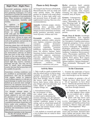 Sometimes, existing conditions can 
be modified to accommodate plant 
preferences. Soil can be amended 
with organic matter to improve 
water holding capacity or with grit to 
speed drainage or nearby trees can be 
limbed up to provide more sunlight. 
However, for optimum success, it is 
better to understand your site and then 
select plants that are compatible. 
Perennials: achillea; amsonia; 
antennaria; anthemis; arabis; armeria; 
aster; baptisia; centaurea; cimicifuga; 
coreopsis; crambe; dictamnus; 
echinacea; echinops; epimedium; 
eryngium; euphorbia; geranium; 
helleborus; hemerocallis; heuchera; 
hosta; Iris sibirica; lamium; liatris; 
limonium; lychnis; oenothera; Patrinia 
scabiosifolia; papaver; penstemon; 
Perovskia atriplicifolia; Potentilla 
tridentata; rudbeckia; salvia; sedum; 
sempervivum; solidago (Goldenrod); 
verbascum; veronica; Viola 
labradorica; waldsteinia and yucca. 
2. Ask students to analyze 
the environment of their 
own school room, garden 
or school yard to determine the 
moisture, drainage, soil, pH, light and 
temperature conditions. Remember to 
consider conditions unique to your 
setting, such as school heat turned off 
at night and on weekends or school 
vacations and summer breaks without 
supplemental watering. 
Right Plant - Right Place 
Successful gardening, whether in-doors 
or out, depends on using the 
best gardening techniques. It is also 
important to consider the climate and 
growing conditions of your particular 
area. These includes soil conditions, 
water, temperature, humidity and 
fertility. 
In addition to 
cultural factors, there 
are microclimates 
within the garden, 
home or school 
with cold and hot 
spots and differing amounts of wind, 
sun and snow. Access to water and 
nutrients vary with soil conditions as 
well as the gardener, and provide the 
best opportunity for control. 
Selecting plants that will flourish in 
your environment is a practical first 
step to success. Most plants that we 
grow in the school, home or garden 
are horticultural cultivars of plants 
that once grew in the wild. Learn as 
much as you can about the original 
habitat and growing conditions of the 
parent species. These include how 
much light they receive, moisture, 
drainage and pH. You may not be 
able to match their environment 
exactly, but may find an area that will 
be suitable for growth. 
Use drought tolerant plants in 
dry, sandy, exposed areas, while 
plants adapted to wet soils should 
be planted in low spots or areas of 
low drainage. Light, humidity and 
salt requirements also need to be 
considered and plants found that will 
thrive under your conditions. Then 
group plant according to their water, 
fertilizer and maintenance needs for 
ease of care. 
Massachusetts Agriculture in the Classroom 
P.O. Box 345 Seekonk, MA 02771 
www.aginclassroom.org 
Plants to Defy Drought 
At Tranquil Lake Nursery in Rehoboth, 
Massachusetts the soils are sandy and 
water quickly drains. The display 
gardens are planted with tough plants 
that thrive in these light sandy soils 
and perennial bouts of drought, with 
supplemental watering. Here are a few 
recommendations: 
Annuals: California poppy; cleome; 
dahlberg daisy; gazania; globe 
amaranth; dusty miller; helichrysum; 
lantana; lavatera; nasturtium; nicotiana; 
perilla, portulaca, sanvitalia, senecio, 
sweet alyssum, verbena and viola 
Activity Ideas 
1. Take a walk in a park or natural area 
near the school and try to find as many 
examples as possible of plants with 
physical characteristics that protect 
them from drought, such as: needle-like 
leaves; small leaves; succulent 
leaves; hairy leaves; white, silver or 
gray foliage; pale leaf undersides; leaf 
scales; thorns or spines; low 
compact foliage, etc. 
3. Ask students to research and make 
a list of plants that are suited to these 
conditions. 
Herbs: artemesia, basil; catmint; 
chamomile; chives, coriander; dill; 
fennel; germander; lady’s mantle; 
lamb’s ear, lavender, mint; oregano, 
rosemary; rue; sage; santolina; sweet 
woodruff, tansy & thyme. 
Grasses: Calamagrostis; 
Carex glauca & pensyl-vanica; 
Miscanthus sin-ensis 
‘Morning Light’ & 
‘Strictus’; Molinia caeru-lea 
‘Variegata’; Panicum 
virgatum, Pennisetum, 
and Schizachrium sco-parium. 
Woody Trees & Shrubs: Acanthopa-nax 
sieboldianus; Acer negundo; 
Amorpha canescens; Aronia arbutifo-lia; 
Caryopteris; Ceanthus americanus; 
Comptonia peregrina; Cornus sericea 
‘Silver & Gold’; Cotinus coggygria; 
Cytissus; Fothergilla ‘Blue Shadow’; 
Hydrangea arborescens ‘Annabelle’; 
Indigofera; Heptacodium miconoides; 
Juniperus; Lespedeza; Myrica pensyl-vanica; 
Physocarpus opulifolius; Pi-nus 
banksiana; Pinus virginiana; Rhus 
typhina; Rosa glauca; Rosa rugosa; 
Salix elaeagnos; Sorbaria sorbifolia; 
Spiraea japonica; Spiraea thunbergii’; 
Thuja occidentalis ‘Rheingold’; and 
Weigela. 
In the Classroom 
1. Examine the undersides of leaves 
of a variety of plants with a hand lens 
and a microscope to see the stomata. 
2. Ask students to generate a list of 
“things we know about leaves” and 
a list of “questions we have about 
leaves.” Identify the questions that can 
be answered by experimentation 
and those through research. 
3. Conduct an experiment to 
see what happens when a plant 
is over-watered and is under-watered. 
Use two similar 
plants with thin leaves such 
as a coleus. Allow one plant 
to sit in waterlogged soil. Water the 
second plant well and then refrain from 
watering it. Observe daily and make 
records. What happened? Why? 
4. Make a garden in the classroom for 
cactus and succulents. Research their 
native habitat and decide where they 
are best located and when to water. 
 