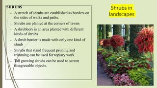 Shrubs in
landscapes
SHRUBS
 Astretch of shrubs are established as borders on
the sides of walks and paths.
 Shrubs are planted at the corners of lawns
 Ashrubbery is an area planted with different
kinds of shrubs
 Ashrub border is made with only one kind of
shrub
 Shrubs that stand frequent pruning and
trimming can be used for topiary work.
 Tall growing shrubs can be used to screen
disagreeable objects.
 