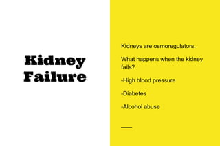 Kidney
Failure
Kidneys are osmoregulators.
What happens when the kidney
fails?
-High blood pressure
-Diabetes
-Alcohol abuse
 