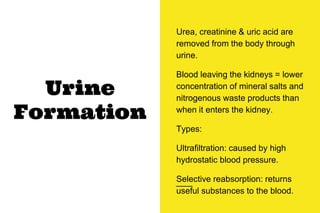Urine
Formation
Urea, creatinine & uric acid are
removed from the body through
urine.
Blood leaving the kidneys = lower
concentration of mineral salts and
nitrogenous waste products than
when it enters the kidney.
Types:
Ultrafiltration: caused by high
hydrostatic blood pressure.
Selective reabsorption: returns
useful substances to the blood.
 