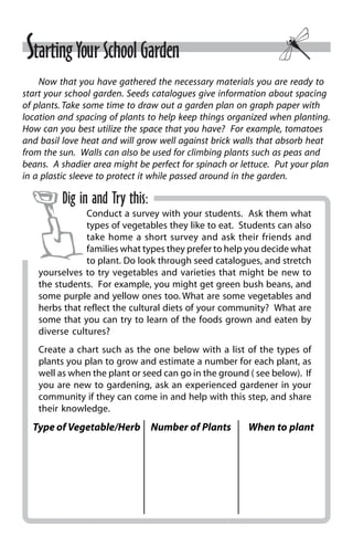 Starting Your School Garden 
Now that you have gathered the necessary materials you are ready to 
start your school garden. Seeds catalogues give information about spacing 
of plants. Take some time to draw out a garden plan on graph paper with 
location and spacing of plants to help keep things organized when planting. 
How can you best utilize the space that you have? For example, tomatoes 
and basil love heat and will grow well against brick walls that absorb heat 
from the sun. Walls can also be used for climbing plants such as peas and 
beans. A shadier area might be perfect for spinach or lettuce. Put your plan 
in a plastic sleeve to protect it while passed around in the garden. 
Dig in and Try this: 
Conduct a survey with your students. Ask them what 
types of vegetables they like to eat. Students can also 
take home a short survey and ask their friends and 
families what types they prefer to help you decide what 
to plant. Do look through seed catalogues, and stretch 
yourselves to try vegetables and varieties that might be new to 
the students. For example, you might get green bush beans, and 
some purple and yellow ones too. What are some vegetables and 
herbs that reflect the cultural diets of your community? What are 
some that you can try to learn of the foods grown and eaten by 
diverse cultures? 
Create a chart such as the one below with a list of the types of 
plants you plan to grow and estimate a number for each plant, as 
well as when the plant or seed can go in the ground ( see below). If 
you are new to gardening, ask an experienced gardener in your 
community if they can come in and help with this step, and share 
their knowledge. 
Type of Vegetable/Herb Number of Plants When to plant 
 