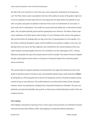 Agroecology based garden system and educational program 12 
the stalk of the corn at the base as well as the roots, stunt weed growth, and keep the soil temperature 
cool. The Three Sisters system was planted in the lower left (southwest) section of the garden. Eight rows 
of corn was planted at 6 inches apart and rows were spaced one foot apart. Beans were planted at every 
other corn plant, and squash was planted at intervals of four. Each row had therefore 22 corn seeds, 11 
bean seeds, and 4-5 squash plants. This model was unsuccessful and yielded only a small amount of bean 
plants. The corn plants had little growth and the squash plants never flowered. The failure of these crops 
can be attributed to four likely factors which include: (1) severe flooding of this section of the garden in 
May and June before the drainage ditch was dug in late June, (2) spacing plants too close together, (3) a 
dry climatic conditions throughout August, and (4) insufficient soil nutrients to support a corn crop. Late 
planting of the corn crop in late May might have also contributed to the weak development of the corn, 
which reached a maximum height of four feet. We would like to try this model again in 2011, with key 
differences being that the crops will be spaced and soil will be mounded. This model will also be irrigated 
through a drip irrigation system which is in the process of being developed at the community garden 
utilizes rain barrels. 
The second model of companion planting was demonstrated in the upper left (northwest) section of the 
garden by planting varieties of tomatoes, peas, and marigolds together along a small string fence (Figure 
4). Marigolds are a flowering plant that are known for keeping the soil free of harmful nematodes and are 
scented serving as a pest deterrent. This model produced a successful yield of cherry, Roma, and grape 
tomatoes, which were purchased as seedlings from Countryside Greenhouse in Allendale. The peas were 
planted by seed and showed healthy early growth, yet they became withered during the month of July and 
yielded no harvest. 
Intercropping 
Intercropping is the practice of growing of two or more crops in close proximity on a farmland to promote 
interaction between them (Sullivan, 2003). Intercropping is an important method of planting in 
October 2010 Gilbert, Kendall 
 