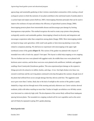 Agroecology based garden system and educational program 13 
agroecology and sustainable gardening in that it mimics natural plant communities while creating a closed 
ecological system in which the nutrients of one plant contribute to the nutritional needs of another plant in 
a cyclical input and output system (Sullivan, 2003). Intercropping illustrates principles that can be used to 
improve the resilience of crops and enhance the efficiency of agricultural systems (Snapp, 2008). 
Intercropping protects plants from transmittable disease and discourages pest damage by limiting 
heterogeneous crops patches. This method recognizes the need to create crop systems when planning 
ecologically sensitive and sustainable gardens. Intercropping is based on diversity and integration and 
encourages cooperation rather than competition among plants (Snapp, 2008). Most intercropping models 
are based on large scale agriculture, while small scale garden or farm intercrop planting is more often 
related to companion planting. We did however experiment with intercropping in the upper right 
(northeast) corner of the garden (Figure 5). This section of the garden was planted with a layout of 
mounded rows with a 6 inch rise, spaced 1 foot apart. This layout is called strip cropping or row cropping. 
The two furthest east rows were planted with eggplant seeds, the middle three rows were planted with 
heirloom carrot varieties, and the three west rows were planted with cauliflower, kohlrabi, and eggplant 
seedlings from Countryside Greenhouse gardens. This area experienced pest damage as the expansive 
foliage proved to be attractive to rabbits, beetles, and slugs. A two- foot high chicken wire fence was 
erected in mid-June and the surviving plants continued to develop throughout the summer, though most of 
the plants had suffered from severe enough damage that they did not yield fruit. The eggplants seeds 
never grew more than 2 inches, likely due to the lack of sunlight as this section of the garden is partly 
shaded by a large oak tree through most of the morning and early afternoon sun. Carrot varieties showed 
moderate yields with tubers reaching no more than 3 inches in length, nevertheless over 60 baby carrots 
were harvested in a relatively high yield. The development of the carrots likely suffered from inadequate 
spacing between plants. The mounded row cropping worked well for root vegetables such as the carrot 
and will likely be repeated in spring 2011 garden planning. 
Raised garden beds 
October 2010 Gilbert, Kendall 
 