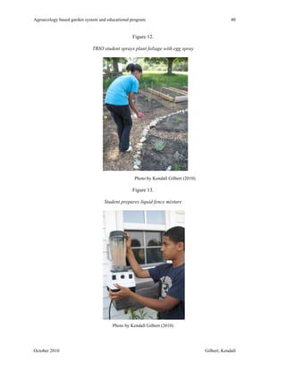 Agroecology based garden system and educational program 40 
Figure 12. 
TRIO student sprays plant foliage with egg spray 
Photo by Kendall Gilbert (2010) 
Figure 13. 
Student prepares liquid fence mixture 
Photo by Kendall Gilbert (2010) 
October 2010 Gilbert, Kendall 
 