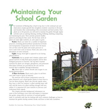 Maintaining Your 
School Garden 
The excitement of Planting Day is hard to top, but it is the continual care and 
observation of plant growth that strengthens students’ connection to the land 
and broadens their understanding of the environment and food systems. Once 
plants are in the ground, you will need to maintain the garden through regular 
activities such as watering, thinning, weeding, fertilizing, mulching, composting, 
and monitoring for pests. These activities promote healthy 
plants by providing for their needs. The five basic needs of 
plants are water, light, nutrients, air, and a place to grow. 
Water. Plants use water for a number of important 
processes, including photosynthesis (production of food) 
and transpiration (evaporation of water from the leaves 
into air that cools the plant and creates pressure to 
move water from roots to leaves). Water also aids in the 
absorption of some nutrients. 
Light. Energy from light is captured to use during 
photosynthesis. 
Nutrients. Just as people need vitamins, plants need 
special nutrients to help them grow properly and for their 
biological processes to function. The top three essential 
nutrients for plants are nitrogen, phosphorus, and potassium. 
Most plant nutrients are provided by the soil, and we 
increase their availability through fertilization. 
Air. Plants take in carbon dioxide and oxygen to use 
during photosynthesis. 
A Place to Grow. Plants need a place to call their 
own with room to grow to maturity. 
The need for each of these components varies by 
plant. Research your school garden plants to learn how to 
care for them properly. Plants also provide signals when 
they have a need. For instance, a plant needing water will 
wilt, and the leaves of a plant needing nitrogen will turn 
yellow. It is important for your students to discover and 
understand these signals. 
This chapter provides background information on 
some of the techniques your team will employ to maintain 
the garden, along with an overview of seasonal garden 
tasks. It concludes with tips for dealing with such common challenges as how to 
maintain the garden during summer breaks and how to deal with vandalism. 
Gardens for Learning: Maintaining Your School Garden 
California Department of Education 
69 
 