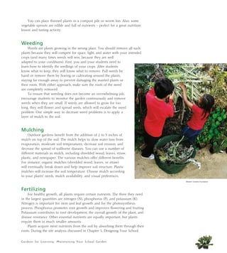 You can place thinned plants in a compost pile or worm bin. Also, some 
vegetable sprouts are edible and full of nutrients – perfect for a great nutrition 
lesson and tasting activity. 
Weeding 
Weeds are plants growing in the wrong place. You should remove all such 
plants because they will compete for space, light, and water with your intended 
crops (and many times weeds will win, because they are well 
adapted to your conditions). First, you and your students need to 
learn how to identify the seedlings of your crops. After students 
know what to keep, they will know what to remove. Pull weeds by 
hand or remove them by hoeing or cultivating around the plants, 
staying far enough away to prevent damaging the wanted plants or 
their roots. With either approach, make sure the roots of the weed 
are completely removed. 
To ensure that weeding does not become an overwhelming job, 
encourage students to monitor the garden continuously and remove 
weeds when they are small. If weeds are allowed to grow for too 
long, they will flower and spread seeds, which will escalate the weed 
problem. One simple way to decrease weed problems is to apply a 
layer of mulch to the soil. 
Mulching 
Outdoor gardens benefit from the addition of 2 to 3 inches of 
mulch on top of the soil. The mulch helps to slow water loss from 
evaporation, moderate soil temperatures, decrease soil erosion, and 
decrease the spread of soilborne diseases. You can use a number of 
different materials as mulch, including shredded wood, leaves, straw, 
plastic, and newspaper. The various mulches offer different benefits. 
For instance, organic mulches (shredded wood, leaves, or straw) 
will eventually break down and help improve soil structure. Plastic 
mulches will increase the soil temperature. Choose mulch according 
to your plants’ needs, mulch availability, and visual preferences. 
Fertilizing 
For healthy growth, all plants require certain nutrients. The three they need 
in the largest quantities are nitrogen (N), phosphorus (P), and potassium (K). 
Nitrogen is important for stem and leaf growth and for the photosynthesis 
process. Phosphorus promotes root growth and improves flowering and fruiting. 
Potassium contributes to root development, the overall growth of the plant, and 
disease resistance. Other essential nutrients are equally important, but plants 
require them in much smaller amounts. 
Plants acquire most nutrients from the soil by absorbing them through their 
roots. During the site analysis discussed in Chapter 5, Designing Your School 
Gardens for Learning: Maintaining Your School Garden 
Western Growers Foundation 
71 
 