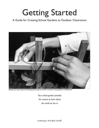 Getting Started 
A Guide for Creating School Gardens as Outdoor Classrooms 
Shaping and supporting the developing plant, tying the tendrils of the blue morning glories. © CEL/Barlow 
Your school garden provides 
the context to learn about 
the world we live in. 
® 
 