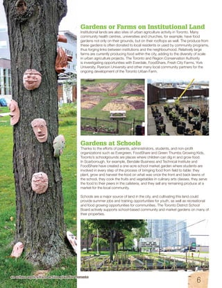 Gardens or Farms on Institutional Land 
Institutional lands are also sites of urban agriculture activity in Toronto. Many 
community health centres, universities and churches, for example, have food 
gardens not only on their grounds, but on their rooftops as well. The produce from 
these gardens is often donated to local residents or used by community programs, 
thus forging links between institutions and the neighbourhood. Relatively large 
farms are currently producing food within the city, adding to the diversity of scale 
in urban agriculture projects. The Toronto and Region Conservation Authority 
is investigating opportunities with Everdale, FoodShare, Fresh City Farms, York 
University, Ryerson University and other many local community partners for the 
ongoing development of the Toronto Urban Farm. 
Gardens at Schools 
Thanks to the efforts of parents, administrators, students, and non-profit 
organizations such as Evergreen, FoodShare and Green Thumbs Growing Kids, 
Toronto’s schoolgrounds are places where children can dig in and grow food. 
In Scarborough, for example, Bendale Business and Technical Institute and 
FoodShare have created a one-acre school market garden where students are 
involved in every step of the process of bringing food from field to table: they 
plant, grow and harvest the food on what was once the front and back lawns of 
the school, they cook the fruits and vegetables in culinary arts classes, they serve 
the food to their peers in the cafeteria, and they sell any remaining produce at a 
market for the local community. 
Schools are a major source of land in the city, and cultivating this land could 
provide summer jobs and training opportunities for youth, as well as recreational 
and food growing opportunities for communities. The Toronto District School 
Board actively supports school-based community and market gardens on many of 
their properties. 
an urban agriculture action plan for Toronto 
6 
 