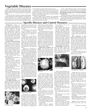 Vegetable Diseases 
Garden vegetables can be attacked by a wide range of fungi, 
bacteria, viruses, and nematodes. Since no single control measure 
is effective against all diseases caused by these microscopic pests, 
gardeners must rely on a well-balanced defense to keep diseases 
in check. 
One of the first steps in setting up a disease control program 
is correct identification of disease problems—the earlier the bet-ter. 
With quick action, you can control leaf spots, blights, and 
mildews within the same season. Other disease problems may not 
be treatable this season, but correct disease identification allows 
you to take preventive disease control measures next year. 
Many garden vegetable diseases are easy to identify. Others 
may need the advice of someone more experienced, such as an 
Extension county agent, home economist, or plant pathologist. 
Disease is best identified on plants that are less than 50 percent 
damaged. Do not use dead plants. 
Common vegetable disease symptoms and recommended 
control measures are provided below. If you cannot identify a dis-ease 
problem from these descriptions, call, write, or visit your 
county Extension staff for assistance. 
To have a plant pathologist diagnose a diseased specimen, 
wrap the specimen in newspaper, paper towel, or (preferably) 
waxed paper. Pack it in a box or carton and ship it immediately to 
Extension Plant Pathology Lab, P. O. Box 9655, Mississippi 
State, MS 39762. 
Additional information on diseases and nematodes that attack 
garden vegetables is available at your county Extension office. 
Diseases take their toll in Mississippi gardens every year, but 
adequate planning and following recommended disease controls 
will keep losses to a minimum. 
Damping-Off (seedling dis-ease)— 
Seeds of many vegetables are 
susceptible to damping-off fungi when 
planted in infested soils. The seeds 
may fail to germinate, or seedlings 
may be attacked before or after emer-gence 
and turn brown, shrink, and 
finally die. Control measures include 
these: plant fungicide-treated seeds in 
well-drained areas; do not apply 
excessive amounts of nitrate forms of 
nitrogen fertilizers; and rotate the loca-tion 
of the vegetables. 
Root Rot of Beans and Southern 
Peas—Root rot is severe on green 
beans, lima beans, and southern peas. 
The disease first appears as reddish or 
reddish-brown areas on stems and 
roots. As the disease advances, discol-ored 
areas spread until the entire root 
and lower stem are affected. Above-ground 
symptoms include stunting, 
yellowing, drooping of leaves, failure 
to produce normal pods, and death. 
These control practices reduce 
losses from root rot: 
• Use high-quality seeds treated with a 
fungicide like Arasan. 
• In-furrow fungicides (Terraclor) 
help control root rot. Apply one-fourth 
of the material in the open 
furrow and the remainder in the 
covering soil during planting. 
• During cultivation, do not throw 
soil against plant stems. 
• Plant in a 4- or 5-year rotation with 
other vegetables. 
• Plant in well-prepared soils with a 
pH of about 6.5, fertilized according 
to a soil test and treated for nema-todes 
if recommended. Plant seeds 1 
inch deep only during favorable 
weather, in warm soils, and on top of 
a bed to avoid “drowning.” 
Early Blight of Tomatoes—Early 
blight is a major disease of tomatoes in 
Mississippi. Symptoms first appear on 
lower, older leaves as circular, dark 
brown to black spots that often contain 
rings, giving a “target board” effect. 
As the disease progresses, leaves turn 
yellow, wither, and drop off. 
Frequently, only the upper half of the 
plant has green leaves, and in severe 
cases, the plant becomes completely 
defoliated. 
Early blight also occurs on plant 
stems and sometimes on fruit. On 
seedlings, the disease may girdle the 
stem and give the appearance of 
damping-off. 
Reduce losses to early blight by 
providing good ventilation in plant 
beds and watering when leaves have 
time to dry. Seed treatment with 
Thiram aids in controlling the damp-ing- 
off stage. Do not set tomato plants 
where early blight occurred the year 
before, and remove and destroy all dis-eased 
plant debris in the garden after 
harvest. 
Applications of chlorothalonil or 
mancozeb effectively control this dis-ease. 
There is no waiting period after 
application until harvest for Bordeaux 
mixture or chlorothalonil, but there is 
a 5-day waiting period for mancozeb. 
Begin applying when plants are 8 
to 10 inches tall, and continue at 7-day 
intervals through the growing season. 
Applications of these fungicides also 
control some of the other leaf, stem, 
and fruit diseases of tomatoes. 
Blossom-End Rot of Tomatoes— 
Blossom-end rot occurs on the tomato 
fruit. It may also be a problem on pep-pers, 
squash, and watermelons. It is 
more common on fruit that is one-third 
to one-half grown and occurs on the 
blossom end of the fruit. It begins as a 
small, water-soaked spot that develops 
into a dark brown, leathery spot that 
may involve half the fruit. The surface 
of the spot shrinks and becomes flat or 
sunken. 
Blossom-end rot is caused by a 
lack of calcium in the developing fruit. 
The uptake of calcium from the soil by 
the tomato plant can be reduced by 
fluctuations in soil moisture—either 
excessively wet soil or excessively dry 
soil. The disease commonly occurs 
when plants are grown rapidly and 
luxuriantly early in the season and are 
then subjected to prolonged dry 
weather. Because of drying conditions, 
the disease may be more serious on the 
windward side of a garden and on 
staked tomatoes than on unstaked or 
bushy plants. 
Prevent blossom-end rot by main-taining 
a soil pH around 6.5, irrigating 
and mulching to maintain uniform soil 
moisture, and avoiding heavy applica-tions 
of nitrogen. Control blossom-end 
rot by spraying with 4 tablespoons of 
96 percent calcium chloride per gallon 
of water at 7- to 10-day intervals for 4 
applications. Begin spraying with first 
appearance of symptoms. Overdosing 
plants with calcium chloride may 
result in leaf burn. Calcium chloride is 
suggested only for tomatoes. 
Spotted Wilt of Tomatoes and 
Peppers—This viral disease is trans-mitted 
by several species of thrips and 
may kill plants or drastically reduce 
fruit-set. Fruits from diseased plants 
are generally small and distorted. 
Tomatoes develop irregular yellowish 
blotches. 
Initial symptoms appear as thick-ening 
of veins on younger foliage. 
Younger foliage generally exhibits a 
pronounced downward curling. 
Internodes become shortened, and 
immature fruit does not ripen. Dark 
purple streaks can occur on leaves, 
stems, and fruits. Other symptoms are 
blighting and blackening of young 
shoots. On individual leaflets, small, 
dark, circular dead spots may appear. 
Badly spotted leaves may turn dark 
and wither. 
Some varieties are now being 
released with resistance. Check with 
your seed source. It is not clear how 
effective or long-lived these resistant 
cultivars will be. 
Try these control practices: 
• Remove and destroy diseased plants. 
• Keep weed populations down in and 
around gardens to reduce movment 
of virus-carrying thrips from weeds 
to garden plants. 
• Suppress thrips by applying 
approved insecticides (Malathion 
50 or Diazinon 25 EC at 2 tea-spoons 
per gallon). 
• Further suppress thrips with shiny 
mulch materials around tomatoes 
and other susceptible vegetables. 
Apparently, light reflection from 
the mulch surface repels thrips and 
the chances of virus transmission. 
Conventional black plastic may be 
sprayed or hand painted with alu-minum- 
colored paint. Oil-based 
paints adhere to plastic surfaces and 
may be easily applied. This tech-nique 
gives best results when mulch 
is laid down at the time of planting 
and used in combination with other 
recommended control procedures. 
Southern Blight—Southern blight 
affects most garden vegetables. The 
fungus that causes southern blight 
attacks plant parts (roots, stems, 
leaves, or fruit) that are in contact with 
or just under the soil surface. 
The first visible symptoms are usu-ally 
an advancing yellowing and wilt-ing 
of the foliage, beginning with the 
lower leaves. During warm, moist 
weather, a white fungus growth may 
appear on the lower stem near the soil 
surface and on organic debris in the 
soil. Later, light tan to dark brown 
mustard seed-like bodies called sclero-tia 
develop in the mold. As the disease 
advances, several plants next to one 
another in the row die. 
Southern blight is difficult to con-trol, 
but you can reduce losses with 
these practices: 
• Plow 6 inches deep in the fall to 
bury organic debris and the scle-rotia. 
• Avoid throwing soil on the plants 
when cultivating. 
• Where a few scattered plants are 
affected, remove them from the gar-den 
along with the soil 6 inches deep 
and 6 inches from the stem. 
• Control foliar diseases, since dead 
leaves on the ground may trigger 
infection. Also control weeds early 
in the season for the same reason. 
• Treat problem areas with PCNB 
(Terraclor) as a dust, granule, or 
wettable powder. Rates and methods 
of application are stated on the label. 
• Wrap transplant stems with a 4- by 4- 
inch strip of aluminum foil and plant 
so that 2 inches of wrapped stems 
are below and 2 inches are above the 
soil. 
Stem Anthracnose of Lima 
Beans—Stem anthracnose is the most 
common disease of lima beans. The 
first stages of infection appear on pods 
as small, brick-red blotches. These 
blotches may spread over the entire 
surface of the pods. Later, the diseased 
areas become brownish to grayish and 
may have many tiny black specks 
which are fruiting bodies of the fun-gus. 
Occasionally, diseased pods fall 
from the plant. 
A brick-red streaking may occur 
along the veins on the under side of 
leaves and on young stems. 
Reddish spots occur on the lower 
leaf surface and enlarge and become 
noticeable on the upper leaf surface. 
Occasionally, leaves are killed and fall 
from the plant. Severely diseased 
plants are yellow and stunted. 
Reduce damage from stem an-thracnose 
by following these prac-tices: 
• Because stem anthracnose can be 
carried over on seed to the next 
season, use only certified disease-free, 
western-grown seed. 
• Never plant lima beans in the same 
location more than once in 3 years. 
• Avoid fall planting of lima beans in 
an area of the garden where stem 
anthracnose was a problem the pre-vious 
spring. 
• Apply Bordeaux mixture or another 
copper-based fungicide on a 7-day 
schedule, beginning at full bloom. 
Mosaic—This virus disease com-monly 
infects beans, sweet corn, 
Early Blight – Tomato 
Blossom-End Rot – Tomato 
Spotted Wilt 
Southern Stem Blight 
Stem Anthracnose – Lima Bean 
Specific Diseases and Control Measures 
Continued on next page 
15 
 