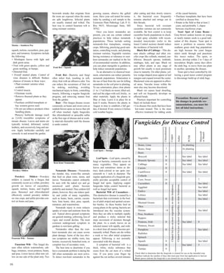 squash, melons, cucumbers, peas, pep-pers, 
and tomatoes. Symptoms include 
the following: 
• Misshapen leaves with light and 
dark green areas. 
• Fruit with green specks, yellow and 
green mottling, or bumps. 
• Distorted fruit. 
• Overall stunted plants. Control of 
virus diseases is difficult. Reduce 
chances of mosaic in these ways: 
• Plant resistant varieties when 
available. 
• Control insects. 
• Eliminate weeds. 
• Remove diseased plants as they 
appear. 
• Purchase certified transplants or 
buy western-grown seed. 
• Do not use tobacco products when 
handling plants. 
Phenoxy herbicide damage (such 
as 2,4-D) resembles symptoms of 
mosaic disease. Leaves and stems are 
typically twisted, deformed, curled, 
leathery, and excessively long and nar-row. 
Apply herbicides carefully and 
correctly in and around the garden. 
Powdery Mildew—Powdery 
mildew is caused by a fungus that 
commonly occurs as a white, powdery 
growth on leaves of cucumbers, 
squash, melons, beans, and English 
peas. Benomyl and chlorothalonil 
effectively control powdery mildew 
on vine crops, and sulfur provides con-trol 
on beans and peas. 
Fusarium Wilt—This fungal dis-ease 
often infects watermelons, cab-bage, 
tomatoes, sweet potatoes, beans, 
and peas. Lower leaves often turn yel-low 
on one side of the plant only. Two 
brownish streaks that originate from 
the roots are exposed when the stems 
are split lengthwise. Infected plants 
are usually stunted and wilted. The 
best way to control fusarium wilt is 
using resistant varieties. 
Fruit Rot—Bacteria and fungi 
often infect fruit, resulting in soft, 
slimy fruit with an offensive odor. You 
can reduce the occurrence of fruit rot 
by staking, mulching, avoiding 
mechanical injury to fruits, controlling 
insects, following a regular fungicide 
program, and removing mature fruit 
from the garden. 
Rust—This fungus disease occurs 
commonly on beans and sweet corn as 
reddish-brown spots on leaves that rub 
off when touched. Apply fungicides 
like chlorothalonil or sprayable sulfur 
at the first sign of disease and at week-ly 
intervals thereafter until the disease 
is under control. 
Nematode Diseases—Nematodes 
are slender, tiny, worm-like animals 
that feed on plant roots, stems, and 
leaves. Nematodes cannot ordinarily 
be seen with the naked eye and go 
unnoticed until plants become 
unthrifty and stunted. They seldom kill 
plants; however, they can reduce qual-ity 
and yields of many vegetables, 
such as beans, beets, carrots, cucum-bers, 
lima beans, okra, peas, squash, 
tomatoes, and watermelons. 
Nematode injury to roots reduces 
uptake of water and nutrients from the 
soil. Typical above-ground symptoms 
are general stunting, yellowing, loss of 
vigor, and overall decline. The most 
common underground symptom in 
gardens is root-knot galling. 
Nematodes other than the root-knot 
nematode also can cause severe 
plant damage. Some of the less obvi-ous 
symptoms are stubby roots, tiny 
lesions, excessively branched roots, or 
complete loss of secondary roots. 
The best time to determine if you 
have a nematode problem is during the 
fall when nematodes are most active. 
To detect root-knot nematodes in the 
growing season, observe the galled 
roots. Have your soil tested for nema-todes 
by sending a soil sample to the 
Extension Plant Pathology Lab, P. O. 
Box 9655, Mississippi State, MS 
39762. 
Once you know nematodes are 
present, you can use certain cultural 
practices to help reduce nematode 
populations. These include setting 
nematode-free transplants, rotating 
crops, fallowing, practicing good sani-tation, 
controlling weeds, and planting 
resistant varieties. Vegetable varieties 
having resistance or tolerance to root-knot 
nematodes are marked in the list 
of recommended varieties. In addition, 
you can plant marigolds in gardens to 
help reduce nematode populations. 
As an alternative to chemical treat-ment, 
solarization can reduce parasitic 
nematode populations. Solarization is 
the use of heat from the sun for killing 
nematodes in the soil prior to planting. 
To use solarization, place clear plastic 
(1 to 1.5 ml thick) on moist, tilled soil, 
and seal the edges with soil, bricks, or 
other materials. Apply the plastic in 
May or June. Leave it in place for at 
least 8 weeks. Remove the plastic in 
August in time to establish a fall gar-den, 
if desired. If not, remove it before 
cold weather begins. 
Leaf Spots—Leaf spots, caused by 
fungi or bacteria, commonly occur on 
many vegetables. They appear on 
leaves and sometimes stems as dis-tinct, 
dark-colored or tan spots one-sixteenth 
to 1 inch in diameter. The 
regular application of a fungicide gen-erally 
provides acceptable control of 
fungal leaf spots. Applying copper 
fungicides helps control bacterial as 
well as fungal leaf spots. 
Bacterial Wilt of Cucumbers— 
This destructive disease is caused by a 
bacterium that overwinters in the bod-ies 
of adult striped and spotted cucum-ber 
beetles. As these beetles feed on 
young plants in the spring, bacteria are 
introduced into the vascular system. 
Here they are able to multiply rapidly 
and produce a sticky material that 
stops movement of moisture through 
the plant. As a result, leaves on an 
infected runner wilt rapidly, and with-in 
a short time all runners become per-manently 
wilted. Plants can die within 
a week or two after initial symptoms 
appear. Yellowing is not normally 
associated with this disease. 
A symptom of bacterial wilt is a 
thick, white, sticky substance that 
oozes from the cut stem of a wilted 
vine. If you press your finger tip 
against the cut surface several minutes 
after cutting and then slowly remove 
it, the bacterial ooze frequently 
remains attached and strings out in 
thin threads. 
Since bacterial wilt resistant 
cucumber varieties are not commonly 
available, the best control is to keep 
cucumber beetle populations in check. 
A rigid spray schedule with recom-mended 
insecticides (refer to the 
Insect Control section) should reduce 
the incidence of bacterial wilt. 
Black Rot of Cabbage—This dis-ease 
attacks cabbage and other cru-cifer 
crops like collards, mustard, cau-liflower, 
Brussels sprouts, kohlrabi, 
rutabagas, kale, and rape. Black rot 
may affect plants at any stage of 
growth but usually is most prominent 
close to maturity. On older plants, yel-low 
wedge-shaped areas appear at leaf 
margins and expand toward the center. 
Blackened veins are apparent in affect-ed 
areas. Vascular tissue within the 
stem also may become discolored. 
Black rot causes head dwarfing, 
and soft rot frequently develops on 
affected heads. 
Practices important for controlling 
black rot include these: 
• Use disease-free seeds that have been 
hot-water treated. This is the most 
effective treatment for ridding seeds 
of the causal bacteria. 
• Purchase transplants that have been 
certified as disease-free. 
• Rotate in the field so that at least 2 
years, and preferably 3, elapse 
between cruciferous crops. 
Yeast Spot of Lima Beans— 
Gray-brown sunken lesions on young 
or nearly mature seeds is a good indi-cation 
of this disease. Yeast spot is 
more a problem in seasons when 
southern green stink bug populations 
are high because the yeast fungus 
enters seeds through pod punctures 
this insect makes. The spots, or 
lesions, develop within 2 to 3 days of 
inoculation. Bright, sunny days allow 
the stink bug to move from one plant 
to another, spreading the disease. 
Yeast spot is best controlled by fol-lowing 
a good insect control program 
to discourage build-up of stink bugs. 
Powdery Mildew 
Fusarum Wilt – Tomato 
Fruit Rot – Squash 
Root-Knot Nematodes 
Leaf Spots – Turnips 
Precaution: Because of possi-ble 
changes in pesticide rec-ommendations, 
you must fol-low 
all label instructions. 
Fungicides for Disease Control 
Chlorothalonil 
Copper 
Sulfur 
PCNB 
Mancozeb 
or Maneb 
Vegetable 
Beans, Lima At planting 
Beans, Snap 7 At planting 
Beets 
Broccoli 0 See label See label 
Brussels Sprouts 0 See label See label 
Cabbage 0 See label See label 
Carrots 0 
Cauliflower 0 See label See label 
Collards 
Corn, Sweet 14 7 
Cucumbers 0 See label 
Eggplant See label 
Endive See label 
Lettuce See label 
Melons 0 See label 
Mustard Greens 
Okra 
Onions 14 See label 
Peas, Southern 
Peppers 
Potatoes, Irish 0 See label 0 
Potatoes, Sweet 
Pumpkins 0 See label 
Radishes 
Spinach 
Squash 0 See label 
Tomatoes 0 See label 5 
Turnips 0 
Cleared for use on most vegetables; no time limitations. 
Cleared for use on most vegetables; no time limitations. 
Check label to determine that the fungicide is cleared for use on the intended crop. 
Numbers indicate the number of days that must pass from last application to harvest. 
Blank spaces indicate the fungicide is not cleared for use on that crop. 
Mosiac – Southern Pea 
16 
 