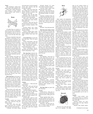 Variety 
Mary Washington—leading home 
garden variety; some resistance to rust. 
Jersey Giant—hybrid; 100 percent 
male; producer of larger, uniform 
spears; excellent vigor; tolerant to 
fusarium wilt. 
Beans 
All garden beans are sensitive to 
cold soil and cold air temperatures. 
Seeds planted in cold, wet soils rot, 
but colored bean seeds are more tol-erant 
to cold soils than white bean 
seeds. 
Soil type is important to bean seed 
germination. In germination, the two 
large seed halves (cotyledons) must 
come through the soil surface. Clay or 
compacted soils hold the cotyledons, 
and germination is poor. Cover seeds 
with a non-crusting material, or add 
sand, peat moss, vermiculite, or per-lite 
to the soil. If a crust forms, care-fully 
break it or sprinkle it lightly with 
water several times to soften it and aid 
germination. All beans are nitrogen 
fixing plants, so be careful to avoid 
heavy nitrogen fertilization and nitro-gen- 
rich soils. 
Major problems with beans are 
blossoms and pods shedding, dis-eases, 
and insects. Both too much and 
too little moisture cause blooms and 
small pods to shed. This also occurs 
when summer temperatures are 
extremely high. Control most diseases 
by buying western-grown seeds, 
selecting disease-resistant varieties, 
using treated seed, rotating land, and 
not working or harvesting beans when 
leaves are wet. Major insect pests are 
bean leaf beetle (round holes in 
leaves) and Mexican bean beetle 
(lace-like leaves). 
Bush snap beans can be green or 
yellow (wax) and round or flat. They 
are sensitive to hot, dry weather; 
therefore, do not plant them to mature 
in midsummer. Late-planted bush 
beans do not set a big crop, and the 
pods that develop are of poor quality. 
Bush beans should be planted in a 
broad band of several closely spaced 
rows. 
Harvest beans at the tender snap 
stage, but any snap bean variety can 
be allowed to grow to the green shell 
stage and be used much like lima 
beans and southern peas. Most bush 
snap bean varieties require 50 to 60 
days from planting to harvest. 
Varieties 
Atlantic—mottled seed; medium 
green; slim; round-oval; long pod; 
mosaic resistant. 
Blue Lake—white seed; dark 
green; round pod; slow to develop 
fiber; good flavor; processing type. 
Contender—old variety; colored 
seed; pale green; oval pod; frequently 
curved; early; fresh-use type that 
develops fiber rapidly. 
Derby—white seed; round; long, 
slim, straight pods; slow seed devel-opment; 
resistant to common bean 
mosaic virus; AAS 1990. 
Magnum—long, flat pod; light-medium 
green color; 6.9 inches long; 
tan seed; 51 days from planting. 
Gator Green—white seed; round; 
long, straight pods; mosaic tolerant; 
fresh market type. 
Greencrop—white seed; long, flat 
pole bean type pod; fresh use and pro-cessing; 
no disease resistance; AAS 
1957. 
Provider—purple seed; round; 
medium-length pods; white seeded 
type also available. 
Topcrop—medium green; round; 
medium-length pod; slightly curved; 
mosaic resistant; brown seed; AAS 
1950. 
Green-shell beans are grown like 
bush snap beans. These are special 
varieties: 
French’s Horticultural—pods and 
beans cream colored, splashed with 
scarlet; a semi-runner type; 68 days. 
King Horticultural—similar to 
French’s Horticultural; 75 days. 
Taylor’s Horticultural—non-run-ning 
plant; pods and beans similar to 
French’s Horticultural; 75 days. 
Pole snap beans extend the har-vest 
of snap beans through the sum-mer. 
They are more tolerant of hot 
temperatures than bush beans. 
Support vines with cane poles, 
strings, or a trellis, allowing for 6 to 8 
feet of growth. Bean vines are heavy, 
so construct a strong trellis. Barbed 
wire as the top wire prevents poles 
and strings from slipping. Support 
posts to prevent trellis collapse in wet 
weather. When exposed to very hot 
summer temperatures and dry soils, 
beans drop their blooms and small 
pods. Harvest all beans to keep vines 
producing. Pole beans yield more 
than bush beans because they produce 
over a longer period of time. 
Nitrogen-rich soils result in excessive 
vine growth and no beans. Most pole 
snap bean varieties require 65 to 70 
days from planting to first harvest. 
Varieties 
Alabama No. 1—black seed; nem-atode 
resistant. 
Blue Lake—white seed; fresh and 
processing type; pods long; round-oval; 
smooth; meaty. 
Cornfield (Striped Creaseback) — 
colored seed; pod flat; light green 
turning purple brown; stringy. 
Dade—white seed; fresh use type; 
similar to McCaslan; tolerant to sev-eral 
diseases; early. 
Kentucky Blue—pods 6 to 7 inch-es 
long, round, straight; good flavor; 
mature in 58 to 65 days; vines resist-ant 
to strains of bean rust and com-mon 
bean mosaic virus; AAS 1991. 
Kentucky Wonder—colored seed; 
fresh use; pod long, flat; meaty, brit-tle; 
low fiber; good flavor; popular 
old variety. 
Kentucky Wonder 191—white 
seed; similar to Kentucky Wonder. 
Louisiana Purple—purple pods 
that turn green when cooked. 
McCaslan—white seed; fresh use; 
light green pod; flatter and smoother 
than Kentucky Wonder; very produc-tive 
. Asparagus (yardlong) beans are 
pole beans with pods that reach 3 feet 
in length. At this stage they are past 
their prime and should be used like 
southern peas. Harvest when pods 
are 10 to 12 inches long for use as a 
snap bean. 
Variety 
Red Seed—long, dark green pods. 
Bush lima beans (butter beans) 
are more sensitive to cold than snap 
beans, so delay planting until the soil 
temperature is at least 65 degrees. 
Both small- and large-seed types are 
used as green-shell beans. The small-seed 
limas produce better than the 
large-seed types. Most varieties 
require about 65 days from planting to 
harvest. Use treated, fresh seeds. Do 
not use last year’s dry garden beans 
for this year’s seeds because of dis-ease 
carryover problems. The major 
disease is stem anthracnose. Control 
this disease by using western-grown 
seeds and planting rotation in the gar-den. 
Do not plant lima beans in the 
same garden location where they were 
grown last year. 
Varieties 
Dixie Butterpea—white seed; 3 to 
4 small, plump beans per pod; sets 
pods under high temperatures; large 
and vigorous plants; late maturing. 
Early Thorogreen—small, flat, 
rich-green baby lima; heavily produc-tive; 
sets throughout the plant; very 
adaptable and vigorous; green-seeded 
Henderson Bush. 
Henderson Bush—creamy white 
seed; 3 to 4 small, flat beans per pod; 
most popular older variety; small 
plant; productive; processing type. 
Jackson Wonder—speckled butter 
bean; seed buff with purple markings; 
beans small, greenish-white with pur-ple 
markings at green shell stage; 
medium-sized plant. 
Nemagreen—seeds greenish-white; 
3 to 4 small, flat beans per pod; 
plants small; productive; resembles 
Henderson Bush; resistant to root-knot 
nematodes. 
Pole lima beans are grown like 
pole snap beans. 
Varieties 
Carolina (Sieva)—white seed; 3 to 
4 beans per pod; pole type Henderson; 
popular old variety; widely grown; 80 
days. 
Florida Speckled Butter Bean— 
seed buff, splashed with maroon; 3 to 
4 small beans per pod; greenish with 
purple at green shell stage; bears well 
in hot weather; 78 days. 
Willowleaf—dull white seed; sim-ilar 
to Carolina, except dark green 
leaves are narrow; 90 days. 
Beets 
Beets require cool temperatures 
and a loose, moist soil for best pro-duction. 
An adequate supply of potash 
in the soil is necessary for roots to 
form. Test soil before planting. Beets 
do not tolerate acid soils. Beets are 
shallow-rooted, so never let the soil 
dry completely. Because beets require 
cool temperatures, you can grow them 
in spring and fall. 
Most beet seeds produce a small 
cluster of seedlings when they germi-nate. 
Even with individually placed 
seeds, thinning is necessary for cor-rect 
plant spacing. Thin seedlings to 
stand 2 inches apart. Beet seeds are 
slow to germinate, so mix in some 
radish seeds to mark the row. Poor 
stands of seedlings can often be traced 
to planting too deep or crusting soils 
after rain or irrigation. 
Black spots in beets may indicate a 
shortage of boron in sandy soil. 
Dissolve 1 level tablespoon of house-hold 
borax in 3 gallons of water and 
apply it to 100 feet of garden row as a 
corrective measure. Reduce the 
amount of borax for shorter rows 
because too much boron can be toxic 
to plants. 
Do not discard beet leaves; they 
are an excellent leafy green. You can 
also use the thinnings of young beets 
as greens. Beets require 60 to 70 days 
from planting to harvest. Harvested 
beets can be stored in the refrigerator 
in a plastic bag for several weeks. A 
variety with golden roots is available. 
Varieties 
Burpee’s Red Ball—uniform; 
smooth-skinned; globe-shaped; 3- 
inch dark red roots; tops erect; medi-um 
tall; red and green. 
Cylindra—long, cylindrical root 
that gives uniform slices; dark red; 6 
inches long; leaves excellent as 
greens. 
Detroit Dark Red—an old stan-dard 
variety; globe shaped; smooth; 
uniform; deep red color. 
Golden Beet—yellow interior; 
orange skin. 
Ruby Queen—uniform; smooth; 
round with fine taproot; superior qual-ity; 
fine for canning; small crown; 
AAS 1957. 
Broccoli 
Broccoli is one of the most nutri-tious 
of all vegetables. The edible 
parts are the compact clusters of 
unopened flower buds and the 
attached stems. Each plant produces 
one large central head and often sev-eral 
smaller side heads following har-vest 
of the main head. This cool-sea-son 
vegetable grows in all parts of 
Mississippi in spring and fall, but fall 
production often is more successful. 
For spring broccoli, start plants in 
a cold frame 6 to 8 weeks before time 
for setting plants in the garden. This 
means starting in what seems mid-winter. 
Grow seedlings at cool tem-peratures 
and spaced at least one-half 
inch apart in rows 4 to 6 inches apart 
so they are hardy and able to with-stand 
cold temperatures when trans-planted. 
Seedlings can be grown in individ-ual 
cups or cells in plastic trays. 
Seedlings exposed to temperatures 
below 45 ºF for 2 weeks or more in 
plant beds may form small flower 
heads and be unproductive. Seedlings 
grown indoors, in a hot bed, or in a 
greenhouse often are killed by the 
first cold night after transplanting to 
the garden in early spring. Harden 
these seedlings for 1 to 2 weeks in a 
cold frame before setting them out. 
Use 1 cup of starter solution (page 9) 
for each plant when transplanting to 
the garden. 
Side-dress broccoli plants with a 
nitrogen fertilizer as soon as they 
begin active growth after transplanti-ng. 
A second side-dressing just before 
heading will help increase the size of 
the center heads. 
For fall broccoli, plant seeds 
directly in the garden where they are 
to grow. Keep the seed bed moist to 
prevent crusting and to aid germina-tion. 
Do not delay planting past rec-ommended 
dates waiting for moisture 
or for temperatures to cool. If water is 
not available to keep the seed bed and 
seedlings moist, do not direct seed. 
Fall broccoli is better in quality 
than spring broccoli because it 
matures as the weather is getting cool-er 
rather than warmer, but fall broc-coli 
has more insect problems than the 
spring crop. Control the major worm 
problems by spraying or dusting with 
a biological control containing 
Bacillus thuringiensis. 
Harvest broccoli while the cluster 
of flower buds is still tight. Open yel-low 
flowers indicate overmaturity. A 
hollow stalk may indicate a shortage 
of boron in the garden soil. Dissolve 1 
tablespoon of household borax in 3 
gallons of water and apply it to 100 
feet of garden row. Use less borax for 
shorter row lengths. Using more than 
is recommended can be toxic to 
plants. 
Varieties 
Green Comet—hybrid; extra 
early; medium-sized, 6- to 7-inch uni-form 
heads; large side shoots; 61 to 75 
days; AAS 1969. 
Packman—hybrid; very early; 
compact plant with large, flattened 
head; 62 days. 
Premium Crop—hybrid; midsea- 
Continued on next page 
23 
 