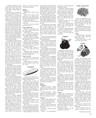 In addition to differences in sugar 
content, sweet corn also comes in dif-ferent 
colors: yellow, white, and 
bicolor (yellow and white kernels on 
the same ear). 
Sweet corns also are divided into 
varieties that mature early (65 to 70 
days), midseason (70 to 80 days), and 
late (80 or more days). Most early 
varieties are better adapted to the 
northern states and do not make satis-factory 
growth or ear size in the south. 
For an ear of corn to develop prop-erly, 
corn pollen from the tassel at the 
top of the plant must fall to the silks of 
the ear located about halfway up the 
stalk. Plant several short rows, rather 
than one or two long rows, for better 
pollination. Better pollination means 
fuller ears. Hot, dry conditions during 
pollination result in missing kernels, 
small ears, and poor development of 
ear tips. A water shortage, signaled by 
visible wilting (rolling of the leaves), 
at the time of silk emergence results in 
reduced yields and quality. 
When different varieties of sweet 
corn planted close together silk and 
tassel at the same time, crosspolli-nation 
can occur by wind-blown 
pollen. This may result in something 
as simple as yellow kernels scat-tered 
in the ears of white corn; but 
more important is the reduction in 
quality when super sweet corns are 
pollinated by any other type of 
sweet corn. Therefore, isolate the 
super sweets from other sweet corns 
by time of planting so that they silk 
and tassel at different times; or iso-late 
them by a distance greater than 
the pollen is carried by the wind. If 
popcorn and field corn pollinate any 
type of sweet corn, they will destroy 
its eating quality. 
Soil fertility problems frequently 
cause low yields in sweet corn. If soils 
are cold and wet during early plant-ing, 
deficiencies of nitrogen and phos-phorus 
will occur. Small ears at har-vest 
indicate low fertility, and poorly 
filled ear tips indicate low nitrogen, 
phosphorus, or potassium. 
Corn earworms are the most seri-ous 
sweet corn pests, although chinch 
bugs, flea beetles, blister beetles, and 
armyworms also cause serious dam-age. 
As soon as silks appear, spray or 
dust to control earworms. Continue to 
apply insecticide on a 3- to 4-day 
schedule until silks are brown and dry. 
Sweet corn is ready to harvest 
about 20 days after the first silks 
appear. The ear should feel full, the 
kernels should be plump, and the juice 
should be milky in the normal and 
sugary enhanced types. 
Birds are a problem at planting 
time and at harvest time. They pull 
seedlings from the soil to feed on the 
kernels and also feed on the ears as 
they approach maturity. Problems 
with animals, such as raccoons and 
squirrels, feeding on sweet corn as it 
matures are difficult to prevent. You 
can prevent some damage by using a 
2-strand electric fence around the 
garden. Place one wire about 4 inch-es 
aboveground and the other at 
about 12 inches. The electric fence 
should be in operation well before 
corn approaches maturity. 
Varieties 
Normal type 
Jubilee—yellow; large ear; white 
silk; late. 
Merit—yellow; tolerant to high 
temperatures and drought; large, 
heavy ears; smut resistant; sometimes 
called silkless because silks come off 
ears easily; midseason to late. 
Silver Queen—white; exceptional 
quality; late. 
Sweet G-90—bicolor; very tender 
and sweet; 75 days. 
Sugary Enhanced (se) 
Bodacious—homozygous se; yel-low; 
early (75 days); medium-sized 
ear; excellent eating. 
Calico Belle—bicolor; homozy-gous 
se; midseason; medium-sized 
ear; excellent eating; good yields. 
Incredible—yellow; an improved 
Miracle; good husk protection and tip 
fill; 100 percent se; late. 
Miracle—yellow; excellent flavor; 
tender kernels; large ears; midseason. 
Platinum Lady—white; excellent 
flavor; purple color in stalks and 
husks; early to midseason. 
Snowbelle—white; creamy tex-ture; 
1 week earlier than Silver 
Queen. 
Tendertreat–yellow; excellent fla-vor 
and tender; purple color in stalks 
and husks; tall plants; late. 
Super Sweet (sh2) 
How Sweet It Is—white; 8-inch 
ears; late; requires isolation; 88 days; 
AAS 1986. 
Summer Sweet 7210—yellow; 8- 
inch ears; midseason; requires isola-tion; 
78 days. 
Cucumbers 
Cucumbers are divided into two 
broad groups, pickling and slicing, on 
the basis of shape and color. 
Pickling types are short and 
blocky and have white or black spines 
on the cucumber (spines are small and 
easily overlooked). Fruit are generally 
dark green at stem end and may be 
almost white at blossom end. Fruit 
with white spines turn light yellow or 
white when overmature. Black-spined 
types turn orange. 
Slicing cucumbers have long fruit, 
are generally dark green from stem to 
tip, and have white spines. Grow slic-ing 
cucumbers on a trellis for straight, 
uniformly colored fruit. 
Fruit types may actually be used 
interchangeably (except in veg-etable 
shows), and the two types 
crosspollinate. 
The normal type of cucumber 
plants have separate male (short stem 
and pollen) and female (little cucum-ber 
and pollen-receiving organ) flow-ers 
on the same plant. This condition 
is called monoecious. Some of the 
newer hybrids are described as being 
predominantly female, or gynoecious. 
These plants produce few if any male 
flowers. Seed packets of gynoecious 
hybrids generally have about 15 per-cent 
seeds of a pollinator (normal 
plants with male flowers) mixed in. 
Until recently, all garden cucum-bers 
required pollination for fruit to 
develop, and the cucumbers had seeds 
in them. Plant breeders are now devel-oping 
seedless (parthenocarpic) vari-eties 
that develop without pollination 
and seeds. 
All cucumbers must be harvested 
before blossom ends soften or fruits 
begin to yellow. Smaller sizes are 
more desirable for pickling than the 
larger fruit, which can be used for rel-ish 
or mock spiced apple slices. 
Harvest slicing cucumbers before 
seed coats on the seeds begin to hard-en. 
Remove all overmature, large, and 
poorly shaped fruit from the vines to 
keep plants producing. 
Poor fruit shape (crooks, nubs, and 
balls) is caused by low soil fertility, 
drought, or poor pollination. A 
cucumber is almost 95 percent water, 
so lack of water affects fruit develop-ment 
and quality. 
Bitter cucumbers result from poor 
growing conditions (low soil fertility, 
high temperatures, and drought). 
Varieties are now available that do not 
become bitter, but this is no excuse for 
neglecting the plants. 
Cucumbers do not crosspollinate 
with melons, squash, or pumpkins, 
but they do cross with other varieties 
of cucumbers. This has no impact on 
the fruit being harvested and should 
be of concern only if you save seeds. 
Since most modern varieties are 
hybrids, saving seeds is not recom-mended. 
Cucumber seedlings that are not 
grown in small pots or containers do 
not transplant easily, so plant seeds 
where they are to grow; or start 
seedlings in peat pots, pellets, or cups, 
and set them in the garden before the 
first true leaf enlarges. 
Most new cucumber hybrids are 
resistant to major diseases. Problem-causing 
insects are cucumber beetles, 
squash bugs, and pickleworms. 
Varieties 
Pickling type 
Calypso—gynoecious hybrid; 
multiple disease resistance; uniform 
dark green; blocky; white spine; 56 
days. 
Carolina—gynoecious hybrid; 
multiple disease resistance; medium-length 
vine; medium dark green; 
blocky fruit; white spine; 55 days. 
Slicing type 
Ashley—straight, slightly tapered 
fruit; 7 to 8 inches long; 66 days. 
Cherokee—gynoecious hybrid; 7 
to 71⁄2 inches long; 63 days. 
Gemini—gynoecious hybrid; mul-tiple 
disease resistance; 8 to 81⁄2 inches 
long; 61 days. 
General Lee—tolerates cucumber 
mosaic virus. 
Poinsett 76—open-pollinated; 
monoecious; 7 to 8 inches long; mul-tiple 
disease resistance. 
Salad Bush—monoecious hybrid 
with short (24-inch) vines; multiple 
disease tolerance; dark green fruit; 
adapted to containers, hanging bas-kets, 
and small gardens; AAS 1988. 
Slicemaster—early gynoecious 
hybrid with multiple disease toler-ance; 
8 to 9 inches long; dark green 
color; 61 days. 
Straight 8—white spine; AAS 
1938 and still productive! 
Sweet Success—greenhouse type; 
seedless; 12 to 14 inches long; best 
grown on trellis; some disease toler-ance; 
AAS 1983. 
Sweet Slice—hybrid; multiple dis-ease 
tolerance; mild burpless; nonbit-ter; 
10 to 12 inches long; 63 days. 
Thunder—very early; strong dis-ease 
package. 
Eggplant 
Eggplant is an extremely cold-sen-sitive 
vegetable, and early planting 
results in stunted plants. Direct seed-ing 
in the garden is not recommended. 
Start with transplants, either home 
grown or purchased. Use a starter 
solution (page 9) when setting out 
transplants. 
You have a broad choice of vari-eties 
when ordering seeds from a cat-alog, 
but there is often little or no 
choice of varieties when purchasing 
plants. Most plant producers grow 
only Black Beauty, the old standard, 
late-maturing variety. New varieties 
and hybrids offer high yields, earli-ness, 
and a choice of size, shape, and 
color. 
Eggplant is in the garden from 
spring planting until frost, so mulch 
plants to reduce summer’s heat and 
drought stress. Side-dress eggplant 
when plants are half grown and again 
after first harvest. 
Several diseases and insects attack 
eggplant. The most serious disease is 
Phomopsis fruit rot. The most serious 
insect pest is the flea beetle. This 
small, black insect eats many tiny 
holes in the leaves and may defoliate 
and kill plants. 
Varieties 
Black Beauty—old standard; low-spreading, 
bushy plant; fruit round to 
globe and dark purple; 80 days. 
Florida Market—prolific over a 
long season; plants tall and upright; 
fruit long, cylindrical, glossy dark 
purple; Phomopsis resistant; 85 days. 
Dusky—hybrid; extra early; free 
setting heavy yielder; fruit deep oval, 
glossy black; tolerant to tobacco 
mosaic virus; 63 days. 
Millionaire—Oriental type with 
purple-calyxed, black fruit. 
Endive and Escarole 
These two strong-flavored leafy 
greens are commonly used in salads. 
Both are cool-season vegetables like 
lettuce and are best grown like head 
lettuce; transplants in spring and 
direct seeding in fall. 
Endive has curly, finely cut leaves, 
while escarole has broad, flat leaves. 
Both have a somewhat coarse texture 
and a strong flavor that some interpret 
as bitter. 
Varieties 
Florida Deep Heart—broad, dark 
green leaves, creamy white heart; 
escarole type; 85 days. 
Green Curled—finely cut, curled 
leaves; endive type; 95 days. 
Gourds 
Gourds are divided into several 
groups based on use and flower color. 
The small, hard-shelled ornamental 
gourds used for decoration have yel-low 
flowers. Varieties within this 
group are Apple, Bell, Egg, and Crown 
of Thorns. Ornamental gourds belong 
to the same botanical group as summer 
squash, and they do crosspollinate. 
The ultility gourds, dipper and 
birdhouse, have white flowers. The 
dishrag gourd (luffa) is a utility gourd 
with yellow flowers. This gourd can 
be eaten when young and is also 
known as running okra. The fruit can 
reach 2 feet in length and have promi-nent 
ribs, or it can be smooth. 
Gourds are grown the same way as 
muskmelons, cucumbers, squash, and 
pumpkins. Vines are vigorous and 
spreading and will readily climb a 
support or trellis. Trellising results in 
better shaped gourds and keeps them 
off the ground, reducing rotting and 
soil staining. 
Plant seeds about 1 inch deep 
when soil is warm and danger of frost 
is over. Space plants about 2 feet apart 
when not trellising. Utility and luffa 
gourds have large, vigorous vines and 
require a long growing season. 
Although mature gourds are not hurt 
by frost, vines of all types are sensi-tive 
to frost. 
Fertilize as for squash and water-melons. 
Side-dress when the vines 
begin to run. 
Harvest ornamental gourds in 
August or September when fruits 
Continued on next page 
25 
 