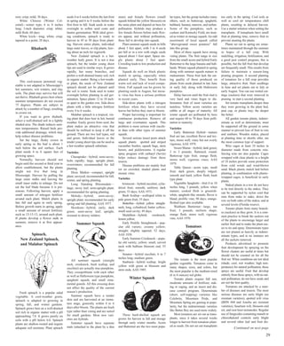 root; crisp; mild; 30 days. 
White Chinese (Winter Cel-estial)— 
winter type; 6 to 8 inches 
long; 3-inch diameter; crisp; white; 
mild flesh; 60 days. 
White Icicle—long; white; crisp; 
tapered to a point; 28 days. 
Rhubarb 
This cool-season perennial veg-etable 
is not adapted to Mississippi’s 
hot summers, wet winters, and clay 
soils. The plant may survive but will 
not thrive. Rhubarb grows best where 
summer temperatures do not exceed 
75 degrees. Plants are subject to 
attack by a number of fungi, resulting 
in crown rot. 
If you want to grow rhubarb, 
select a well-drained soil in a lightly 
shaded area. The shade reduces sum-mer 
temperatures. Raised beds pro-vide 
additional drainage, which may 
help reduce disease problems. 
Set the large, fleshy crown in 
early spring so the bud is about 1 
inch below the soil surface. Each 
plant needs 4 to 6 square feet of 
growing space. 
Normally, harvest should not 
begin until the second or third year to 
allow establishment, but the plants 
might not live that long in 
Mississippi. Harvest by pulling the 
large outer stalks and leaving the 
small inner stalks to enlarge. Do not 
eat the leaf blade because it is poi-sonous. 
Following harvest, apply a 
small amount of nitrogen fertilizer 
around each plant. Mulch plants in 
late fall and again in early spring. 
Before growth starts in spring, apply 
a small amount of mixed fertilizer, 
such as 13-13-13, around each plant. 
If plants develop a flower stalk in 
summer, remove it at first appear-ance. 
Spinach, 
New Zealand Spinach, 
and Malabar Spinach 
Fresh spinach is a popular salad 
vegetable. A cool-weather green, 
spinach is adapted to growing in 
spring, fall, and winter gardens. 
Spinach grows best on a well-drained 
soil rich in organic matter with a pH 
approaching 7.0. It grows poorly on 
soils with a pH below 6.0. Spinach 
plants are shallow-rooted and require 
adequate soil moisture. Plant spinach 
seeds 4 to 6 weeks before the last frost 
in spring and 6 to 8 weeks before the 
first frost in fall. Soak seeds in water 
overnight to soften seed coats and 
hasten germination. With ideal grow-ing 
conditions, spinach is ready to 
harvest in 45 to 50 days from plant-ing. 
Harvest entire plants, individual 
large outer leaves, or clip plants, leav-ing 
about an inch for regrowth. 
New Zealand spinach is a hot-weather 
leafy green. It is not a true 
spinach, but the tender young shoot 
tips are used in similar ways. It grows 
rapidly, has many branches, and 
prefers a well-drained loamy soil, rich 
in organic matter. Being a hot-weath-er 
plant, the seeds of New Zealand 
spinach should not be planted until 
the soil is warm. Soak seed in water 
overnight before planting to aid ger-mination. 
Space plants 12 to 18 inch-es 
apart in the garden row. Side-dress 
plants with a little nitrogen fertilizer 
every 4 to 6 weeks. 
Malabar spinach is a tropical, vin-ing 
plant that does best in hot, humid 
weather. Easily grown from seed, the 
plant makes an attractive vine that 
should be trellised to keep it off the 
ground. There are two leaf types, red 
and green. Individual leaves or the 
tender young shoot tips can be used as 
a hot-weather spinach substitute. 
Varieties 
Chesapeake—hybrid; semi-savoy; 
bolts rapidly; large, upright plant; 
overwinters; recommended for fall 
planting. 
Dixie Market—compact, upright 
plant; savoyed; recommended for fall, 
winter, and spring planting. 
Long Standing Bloomsdale— 
large; savoy leaf; semi-upright plant; 
recommended for spring planting. 
Melody—hybrid; semi-savoy; 
upright plant; recommended for early 
spring and fall planting; AAS 1977. 
Skookum—hybrid; early; dark 
green; semi-savoy leaf; upright; 
resistant to downy mildew. 
Summer Squash 
All summer squash (straight 
neck, crookneck, bush scallop, and 
zucchini) are actually true pumpkins. 
They crosspollinate with each other 
as well as Halloween type pumpkins, 
spaghetti squash, and small orna-mental 
gourds. All this crossing does 
not affect the quality of the current 
season’s production. 
Summer squash have a tender 
skin and are harvested at an imma-ture 
stage, generally within 4 to 6 
days after bloom. The plants are bush 
type rather than vining and are suited 
for small gardens. Most new vari-eties 
are hybrids. 
Summer squash have separate 
male (attached to the plant by a thin 
stem) and female flowers (small 
squash behind the yellow blossom) on 
the same plant and depend on bees for 
pollination. Hybrids may produce a 
few female flowers before male flow-ers 
appear, and without pollination, 
these fail to develop into squash. 
Plant summer squash seeds in hills 
about 3 feet apart, with 3 to 4 seeds 
per hill or in a row with single seeds 
spaced about 1 foot apart. Space sin-gle 
plants about 3 feet apart. 
Crowding leads to low production and 
disease. 
Squash do well on black plastic 
mulch in spring, especially when 
planted early. They benefit from 
warm soil and lack of weed compe-tition. 
Fall squash can be grown by 
planting seeds in August, but mosa-ic 
virus has been a serious problem 
in recent years. 
Side-dress plants with a nitrogen 
fertilizer when they have several 
leaves but before they start to bloom. 
Proper harvesting is important for 
continuous production. Remove all 
large and overmature squash. This 
problem is more serious with zucchi-ni 
than with other types of summer 
squash. 
Several serious insect pests attack 
squash plants: spotted and striped 
cucumber beetles, squash bugs, stem 
borers, and pickleworms. A regular 
spray program with carbaryl (Sevin) 
helps reduce damage from these 
insects. 
Disease problems are mainly fruit 
rot on crowded, shaded plants and 
mosaic virus. 
Varieties 
Aristocrat—hybrid zucchini; cylin-drical 
fruit; smooth; uniform; dark 
green; 53 days; AAS 1973. 
Bush Scallop—scalloped white to 
pale green fruit; 55 days. 
Butterbar—hybrid yellow straight-neck; 
long, cylindrical; butter yellow; 
small seed cavity; 49 days. 
Medallion—hybrid; crookneck; 
lemon yellow. 
Early Prolific Straightneck—pop-ular 
old variety; creamy yellow; 
straight; slightly tapered; 52 days; 
AAS 1938. 
Early Summer Crookneck—popu-lar 
old variety; yellow; small, curved 
neck with bulbous blossom end; 55 
days. 
Senator—hybrid zucchini; 6 to 7 
inches long; medium green. 
Sunburst—hybrid scallop; bright 
yellow with green at blossom and 
stem ends; AAS 1985. 
Winter Squash 
These hard-shelled squash are 
grown for harvest in fall and storage 
through early winter months. Acorn 
and Butternut are the two most popu-lar 
types, but the group includes many 
others, such as buttercup, spaghetti, 
hubbard, banana, marrow, and turban. 
Some of the pumpkins, such as 
cushaw and Kentucky Field, are treat-ed 
as winter or storage squash. An odd 
assortment of local squash called 
“aboveground sweet potatoes” fall 
into this group. 
Most of these squash have strong 
vining plants. The fruit range in size 
from the small acorn and hybrid Early 
Butternut to the large banana and hub-bards. 
Winter squash planted in spring 
along with summer squash mature in 
midsummer. These fruit lack the eat-ing 
quality of those produced on 
plants from seeds planted in late June 
or early July along with Halloween 
pumpkins. 
Delay harvest until the fruit rind is 
very hard and vines begin to die. 
Immature fruit of most varieties are 
tasteless. Yellow acorn varieties are 
edible at all stages of maturity. All 
winter squash are pollinated by bees 
and require 60 to 70 days from polli-nation 
to maturity. 
Varieties 
Early Butternut Hybrid—mature 
fruit are tan; excellent flavor and tex-ture; 
stores well; viney but not overly 
vigorous; AAS 1979. 
Sweet Mama—hybrid; dark green; 
2 to 3 pounds; flattened; round; 
Buttercup type fruit; orange flesh; 
stores well; vigorous vines; AAS 
1979. 
Table Queen—acorn type; small 
fruit; dark green; deeply ridged; 
smooth and hard; yellow flesh; bush 
type plant. 
Vegetable Spaghetti—fruit 8 to 10 
inches long, 3 pounds; yellow when 
mature; cooked flesh is greenish-white, 
spaghetti-like strands; flavor is 
bland; prolific vine; 90 days; orange-fleshed 
type also available. 
Waltham Butternut—large, tan 
fruit; 3 pounds; uniform shape; 
orange flesh; stores well; vigorous 
vine; AAS 1970. 
Tomatoes 
The tomato is the most popular 
garden vegetable. Tomatoes come in 
many shapes, sizes, and colors, but 
the most popular is the medium-sized 
(6 to 8 ounces) red globe. 
Tomato plants require full sun, 
moderate amounts of fertilizer, stak-ing 
or caging, and an insect and dis-ease 
control program. Determinate 
(short, self-topping) varieties like 
Celebrity, Mountain Pride, and 
Mountain Spring are gaining in popu-larity, 
but the indeterminate varieties 
like Better Boy are used more widely. 
Most tomatoes are set out as trans-plants, 
since it takes several weeks 
longer to harvest from tomatoes plant-ed 
as seeds. Do not set out transplants 
too early in the spring. Cool soils as 
well as cool air temperatures chill 
plants, resulting in delayed harvest. 
Use a starter solution when setting the 
transplants. If transplants have small 
fruit at planting time, remove fruit to 
prevent stunting the plants. 
Plants set out in spring are some-times 
maintained through the summer 
in hopes of a fall crop. With 
mulching, irrigation, fertilization, and 
a good pest control program, this is 
possible, but the fall fruit that develop 
are frequently small. This results from 
failure to maintain a season-long 
pruning program. A second planting 
of tomatoes for a fall crop provides 
large, attractive fruit. Start seedlings 
in June and set plants out in July or 
early August. You can use rooted cut-tings 
(suckers) that were removed in 
pruning to start a second planting. 
Set tomato transplants deeper than 
they were growing in the plant bed, 
peat cup, or plastic tray; the deeper 
the better. 
All garden tomato plants, indeter-minate 
as well as determinate, must 
be supported off the ground in some 
manner to prevent loss of fruit to rots 
and sunburn. Wooden stakes, placed 
at planting time or shortly after, are 
the most common type of support. 
Wire cages at least 18 inches in 
diameter made from concrete rein-forcing 
wire are also popular. Cages 
wrapped with clear plastic to a height 
of 18 inches provide some protection 
from cold winds and wind-blown 
sand. Black plastic mulch laid before 
planting, in combination with plastic-wrapped 
cages, is beneficial to early 
plants. 
Staked plants in a row do not have 
to be tied directly to the stakes. They 
can be supported by nylon cord that 
runs from stake to stake, down the 
row on both sides of the stakes, and at 
several levels (Florida weave). 
Tomato plants form many branch-es 
(suckers) as they grow. It is a com-mon 
practice to break the suckers out 
of the plants to encourage larger and 
earlier fruit and to make the plant eas-ier 
to tie and spray. Determinate types 
are not pruned as heavily as indeter-minate 
types, and in no instance are 
all the suckers removed. 
Products advertised to promote 
fruit development by spraying on the 
flower clusters are useful at times but 
should not be counted on for all the 
fruit set. When conditions are not ideal 
(shade; cool, wet weather; high tem-peratures) 
for natural pollination, these 
sprays are useful. Fruit that develop 
entirely from these sprays, with no nat-ural 
pollination, do not have seeds and 
are not the best quality. 
Tomatoes are attacked by a num-ber 
of diseases and insects. The most 
serious diseases are early blight (no 
resistant varieties), spotted wilt virus 
(BHN 444 and Amelia are resistant 
varieties), fusarium wilt, blossom end 
rot, and root knot nematodes. Regular 
use of fungicides containing maneb or 
chlorothalonil controls early blight 
and several other leaf and fruit dis- 
Continued on next page 
29 
 