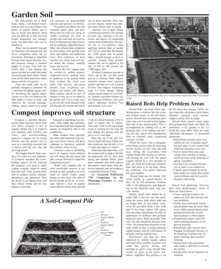 The ideal garden soil is deep, 
loose, fertile, well-drained (inter-nally 
as well as on the surface), has 
plenty of organic matter, and is 
free of weeds and diseases. Such 
soils are difficult to find, but with 
proper preparation and manage-ment, 
less-than-ideal soils can be 
Compost is partially decom-posed 
plant material mixed with 
soil. Since compost is rich in 
organic matter, use it to improve 
soil structure, tilth, fertility, and 
water- and nutrient-holding 
capacity. Compost can be mixed 
directly into the garden soil or 
used as a mulching material that 
is mixed with the soil after the 
growing season. 
The biggest benefit from com-post 
is its value as a soil condition-er. 
Compost increases the water-holding 
capacity of soil, reducing 
the frequency you need to water. 
Adding compost improves sandy 
and clay soils. Plant growth nutri-ents 
in compost include nitrogen, 
phosphorus, and potassium. They 
are mostly in an organic form, and 
they release slowly and are less 
subject to leaching. 
Compost is something you nor-mally 
make rather than purchase, 
but composted bark and composted 
manure are frequently sold as soil 
conditioners. 
Make compost from vegetable 
and other plant materials from nor-mal 
yard chores, leaves, and grass 
clippings, or hauled-in materials 
like sawdust, straw, or hay. 
Construct a pile of alternating 
layers of organic waste material 
and soil. Keep the pile moist and 
add a mixed fertilizer to speed the 
composting process. 
Build your compost pile in 
some out-of-sight location. It can 
be built on open ground or in a bin 
made of cinder block, rough 
boards, or wire fence. The sides of 
the bin should not be air- or water-tight. 
Spread a layer of organic 
matter about 6 inches deep and add 
1 cup of a mixed fertilizer, 6-8-8, to 
each 10 square feet of surface. 
Then add 1 inch of soil and enough 
water to moisten but not soak the 
pile. Repeat this process until the 
pile is 4 to 5 feet high. 
Make the top of the pile con-cave 
to catch rainwater. Under nor-mal 
conditions, turn the pile in 2 or 
3 weeks and again in 5 weeks. 
Heat helps decomposition, so if 
the compost pile is made in the fall, 
decomposition will be slow until 
spring and summer. Moist, green 
plant materials and fresh manure 
decompose much faster than dry, 
brown materials and can produce a 
considerable amount of heat. 
See Extension Publication 
1782 Composting for the 
Mississippi Gardener for more 
information. 
A Soil-Compost Pile 
productive. 
Water moves quickly through 
an internally well-drained soil and 
never completely shuts off air 
movement. Drainage is important 
because roots cannot develop, live, 
and function without a constant 
supply of oxygen. Clay soils dry 
slowly after a rain because the 
spaces in them are small and water 
moves through them slowly. Sandy 
soils, on the other hand, have many 
spaces and dry out quickly. 
Clay and sandy soils can be 
partially changed to substitute for 
a rich loam by adding organic mat-ter. 
Increasing the organic matter 
content of a clay soil improves the 
tilth, makes it easier to work, and 
improves the internal drainage. 
Adding organic matter to a sandy 
soil increases its water-holding 
capacity and improves its fertility. 
The garden soil affects the way 
vegetable plants grow and look. 
When soils are cold, wet, crusty, or 
cloddy, seedlings are slow to 
emerge and some may not survive. 
Root rot diseases may take a heavy 
toll on seedlings, especially beans. 
Other soil-related plant symptoms 
are short plants, slow growth, poor 
color, and shallow and malformed 
roots. Soil symptoms of poor 
structure are crusts, hard soil lay-ers 
below the surface, standing 
water, and erosion. 
Increase the soil’s organic mat-ter 
content by adding manure, 
composted leaves, sawdust, bark, 
or peatmoss; or by turning under 
plant residues like sweet corn 
stalks after harvest, and green 
manure crops (soybeans, rye, 
southern pea plants, and others). 
Plant residues should be free of 
diseases if they are to be added to 
the garden soil. Cover crops, such 
as clovers and vetch, planted in the 
fall prevent soil erosion and leach-ing 
of plant nutrients. They also 
provide organic matter and nitro-gen 
when turned under in spring. 
Manures vary in their content 
of fertilizing nutrients. The amount 
of straw, age, exposure to the ele-ments, 
and degree of composting 
change their composition. Be care-ful 
not to over-fertilize when 
applying chicken litter to garden 
soil. Use no more than 200 pounds 
per 1,000 square feet of garden 
space. Animal manure is lower in 
nutrient content than poultry 
manure and can be applied at the 
rate of 250 to 300 pounds per 
1,000 square feet. 
Overuse of manures can add so 
much salt to the soil that plant 
growth is harmed. Most organic 
materials release some nutrients 
quickly and the rest over a period 
of time. (See Organic Gardening, 
page 5.) Even though adding 
organic matter improves soil fertil-ity, 
manures and plant residues are 
not balanced fertilizers, and soils 
require additional fertilizer. Test 
soil annually to be sure. 
Garden Soil 
Raised beds are planting areas where the soil is several inches higher than that of the natural 
grade. 
Raised Beds Help Problem Areas 
Compost improves soil structure Raised beds can help where gar-dening 
space is limited, the site is low 
and collects water, or the soil drains 
poorly. Raised beds are planting areas 
where the soil is several inches higher 
than that of the natural grade. This is 
accomplished by adding soil to the 
growing area, or by adding and mix-ing 
into the native soil amendments 
such as compost, sand, composted 
sawdust, or bark. 
Where the native soil is adequate, 
raised beds can be made by removing 
several inches of soil from the bed 
area, filling the excavation with 
organic matter like manure or old hay, 
and mixing the soil with the added 
organic matter. It is also possible to 
pull soil from the walkways between 
beds and place it on the beds, filling 
the walkways with mulch materials 
like pine needles. 
Raised beds can be framed with 
wood, bricks, or cement blocks, or 
they can be left unframed. Framing 
adds to the appearance, and depend-ing 
on the materials used, may pro-vide 
seating. 
Ideally, raised beds should be no 
wider than 4 feet (so you can easily 
reach the center from either side) and 
no longer than 25 feet unless cross-overs 
are provided. Beds 4 feet wide 
and 25 feet long contain 100 square 
feet and make calculations for rates of 
application of fertilizer and granular 
materials easier. Beds accessible from 
only one side should be narrower than 
4 feet. All framed beds should be of the 
same width so that covering materials 
(shade frames, sash for cold frames) fit 
all beds, making rotation easy. 
Raised-bed soil that has been 
improved by adding organic matter 
and sand often enables excellent root 
crops like carrots, onions, and 
parsnips to grow, even though they 
would not grow in the native soil. 
Select vegetables that produce a lot 
for the space they occupy. Trellis vin-ing 
crops like cucumbers, pole beans, 
Malabar spinach, and melons. 
Support melon fruit in slings. 
Raised beds require more water 
than ground-level beds, but when the 
alternative is no garden at all, it’s 
worth the extra effort. Here are some 
additional advantages of raised-bed 
gardening: 
• Raised beds produce more veg-etables 
per unit of garden space 
because space is not wasted with 
walkways between every row. 
• Soil in raised beds dries and 
warms more quickly in spring, 
which permits earlier planting of 
spring vegetables. 
• Soil does not compact because 
soil in beds is not walked on. 
• Closely spaced plants in raised 
beds shade out weeds and reduce 
weed problems and the need for 
frequent cultivation. 
Raised bed gardening, however, 
does have disadvantages. Some of 
these are listed below: 
• Closer spacing of plants can 
reduce air flow and increase dis-ease 
problems. 
• Yields from individual closely 
spaced plants may be lower than 
from widely spaced plants (total 
production from the closely 
spaced plants is often higher). 
• Raised beds require more fre-quent 
watering because of im-proved 
drainage. 
• Raised beds may require more 
frequent fertilization because of 
the leaching resulting from fre-quent 
watering and excellent 
drainage. 
• Raised beds with permanent 
sides make it difficult to relocate 
the garden. 
• Raised beds can be expensive to 
establish. 
3 
Soil 
Fertilizer 
Organic Matter 
Soil 
Fertilizer 
Organic Matter 
Soil 
Fertilizer 
Organic Matter 
Ground 
 
