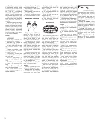 eases. Plant disease-resistant varieties 
to reduce disease problems. Disease 
resistance is indicated in the variety 
descriptions below by a series of let-ters, 
V, F, N, and T. The V indicates 
resistance to verticillium wilt, F for 
fusarium wilt, N for root knot nema-todes, 
and T for tobacco mosaic virus. 
Major insect problems are aphids, 
thrips, stink bugs, blister beetles, fruit 
worms, horn worms, leaf miners, and 
white flies. 
Problems are blossom end rot (low 
soil calcium, lack of water), fruit 
cracking (excess water and high tem-peratures), 
sudden wilting (root dam-age 
from cultivation or drowning), 
blossom drop (low or high tempera-tures, 
poor nutrition), and sunscald 
(excessive pruning, no plant support, 
or loss of leaves to disease). 
Varieties 
I--indeterminate 
D--determinate 
Amelia—large-fruited with toma-to 
spotted wilt virus resistance; D. 
Better Boy—VFN hybrid; 8- to 
12-ounce red fruit; 72 days; I. 
Big Beef—large-fruited beef stake 
with good disease resistance; I; AAS 
1994 . 
Celebrity—VFNT hybrid; 7- to 8- 
ounce red globe; firm, flavorful fruit; 
D; 72 days; AAS 1984. 
Cherry Grande—VF hybrid; large 
cluster of 11⁄2-inch firm, round, red 
fruit; D; 60 days. 
Floramerica—VF hybrid; 8- to 12- 
ounce red fruit; 76 days; D; AAS 
1978. 
Floradel—F; 8-ounce red fruit; 75 
to 85 days; I; old variety; open-polli-nated. 
Marion—F; 6-ounce red fruit; 79 
days; I; old; open-pollinated. 
Mini Charm—miniature cherry 
tomato with indeterminate growth and 
abundant production. 
Mountain Spring—VF hybrid; 
early; resistance to cracking; D. 
Park’s Whopper—VFNT hybrid; 
large fruit; I; 70 days. 
Super Fantastic—VF hybrid; 8- 
ounce red fruit; 70 days; I. 
Sweet 100—hybrid; large clusters 
of 1-inch, round, red fruit; I; 65 days. 
Turnips and Rutabagas 
Turnips are grown for both leaves 
(greens) and roots in the spring and 
fall garden. For greens, it is not neces-sary 
to thin seedlings, and there are 
varieties just for greens. For roots, 
thin seedlings to 2 to 4 inches apart. 
Rutabagas are a fall crop with 
planting recommended in August or 
early September. Roots require 4 to 6 
weeks longer to mature than turnip 
roots. Thin rutabaga seedlings to at 
least 6 inches apart (12 inches pre-ferred) 
in the row. Rutabaga leaves 
can be eaten. 
Hot weather causes turnips to be 
strong-flavored or bitter and pithy. 
Black spots inside the roots indicate a 
need for boron. Dissolve 1 level table-spoon 
of household borax in 3 gallons 
of water and apply to 100 feet of row. 
Use less for shorter rows. 
Major problems are aphids, leaf-eating 
worms, and leaf spots. 
Varieties 
All Top—hybrid; broadleaf turnip 
for tops only; dark green; 50 days. 
American Purple Top—rutabaga; 4- 
to 5-inch diameter; spherical; purple-red 
crown; pale yellow flesh; 90 days. 
Just Right—hybrid; root and top 
type; white root; broad, serrated leaf; 
60 days; AAS 1960. 
Purple Top—old standard; root 
and top type; white globe root with 
purple crown; 57 days. 
Seven Top—leaf type; cut leaf; 
dark green; 45 days. 
Tokyo Cross—hybrid; root and 
top type; semi-globe; white root; 
early; 35 days; AAS 1969. 
Watermelons 
Most watermelon plants require a 
lot of space and quickly take over a 
small garden. Some varieties are 
described as having short vines. 
Those described as having bush-type 
plants may be disappointing. 
Varieties are available that produce 
large or small, round or oblong, solid 
or striped fruit with red or yellow 
flesh, with seeds or seedless. 
Plant when the soil is warm and all 
danger of frost has passed. 
Watermelon transplants in peat cups 
or plastic trays can be used, but they 
must be small (not yet vining) to 
avoid plant injury. Use transplants 
with seedless melons because the seed 
is small, expensive, and slow to ger-minate. 
For seedless melon trans-plants, 
plant the seeds with the round-ed 
end down and the pointed end up. 
Hot kaps, black plastic mulch, 
floating row covers, and plastic tun-nels 
are ways to obtain earliness. 
Black plastic also controls weeds. You 
can use transplants or seeds in combi-nation 
with black plastic mulch. With 
normal vining melons, plant several 
seeds in groups spaced about 6 feet 
apart. Thin seedlings to two plants in 
each group. With seedless melons, it 
is necessary to plant some standard 
melons close by to provide pollina-tion. 
All watermelons are pollinated 
by bees and require about 45 days 
from pollination to maturity. 
Disease problems are anthracnose, 
fusarium wilt, gummy stem blight, 
and bacterial wilt. Insect problems are 
striped and spotted cucumber beetles. 
Varieties 
Bush Charleston Gray—bush-type 
plant; 10- to 13-pound melons; 
red flesh. 
Bush Jubilee—bush-type plant; 
10- to 13-pound oblong fruit; red 
flesh. 
Charleston Gray—30 pounds; 
oblong; light green; bright red flesh 
and dark seeds; some disease resist-ance. 
Crimson Sweet—23 to 30 pounds; 
semi-round; distinct striping; thick, 
hard rind; sweet, red flesh; some dis-ease 
resistance. 
Jubilee—25 to 40 pounds; long; 
light green with dark stripes; red flesh 
with black seeds; some disease resist-ance. 
Jubilee II—22 to 30 pounds; 
oblong; light green with dark green 
stripes; open-pollinated; firm, red 
flesh; sweet; some disease resistance. 
Royal Jubilee—hybrid Jubilee 
type; elongated; 25 to 30 pounds; 
bright red flesh; resistant to fusarium 
and anthracnose. 
Royal Sweet—20 to 25 pounds; 
hybrid; oblong; medium-green 
stripes; bright red flesh and small dark 
seeds; some disease resistance. 
30 
Planting 
continued from page 17 
stems, and fruits. These wounds let 
fungi and bacteria enter and cause 
diseases. Some insects also transmit 
viruses, bacteria, and fungi that 
cause diseases. Controlling insects in 
the garden is an important method of 
disease control. 
Staking and mulching. Control 
diseases like cucumber belly rot and 
tomato soil rot by growing plants on 
mulch and trellising or staking to 
keep fruit off the ground. 
Watering. Water plants in late 
morning or early evening. Watering 
late in the evening leaves foliage 
wet longer, which helps diseases 
develop. 
Harvesting and working in the 
garden. Do not harvest vegetables 
or work in the garden when plant 
leaves are wet. 
 