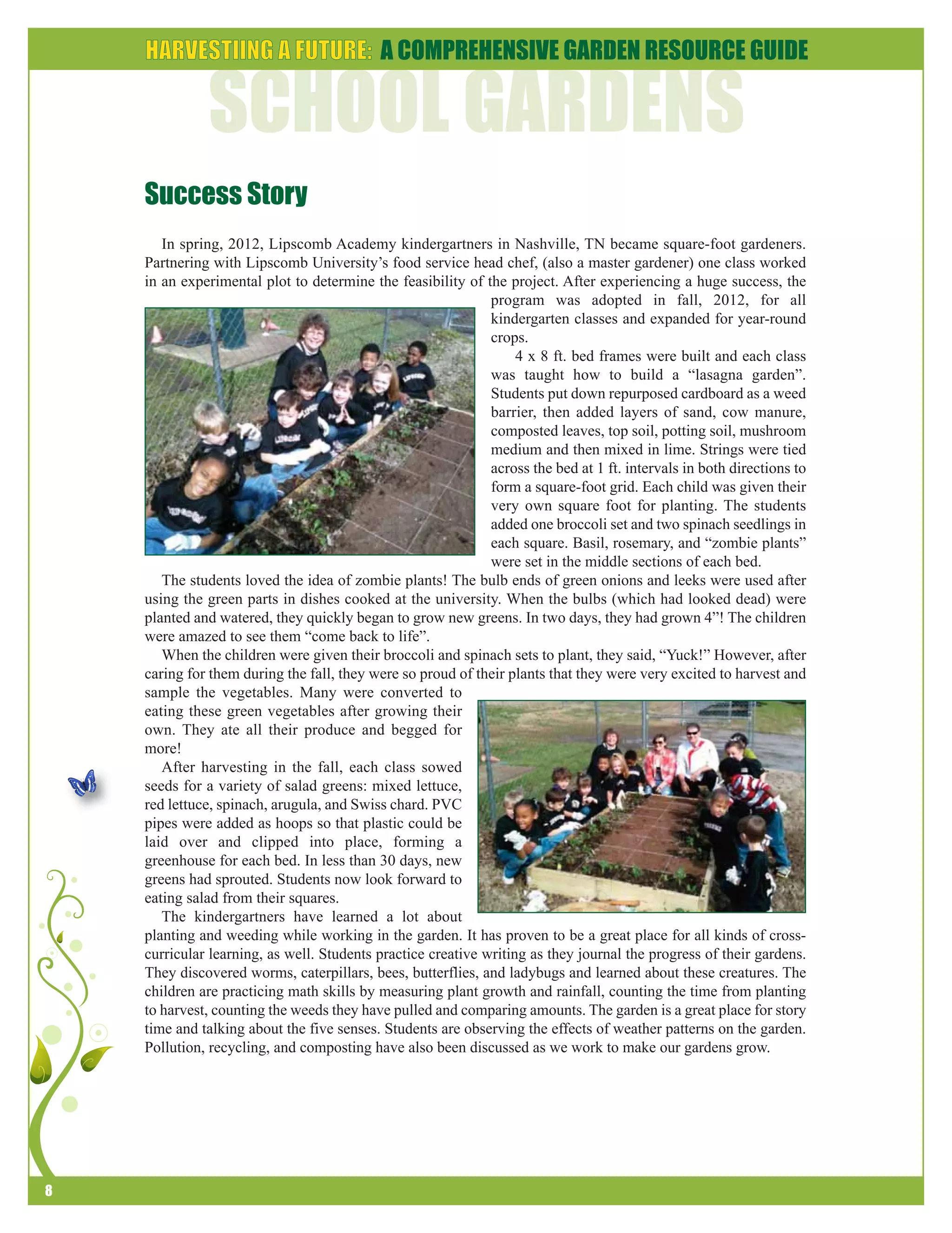 8 
Success Story 
In spring, 2012, Lipscomb Academy kindergartners in Nashville, TN became square-foot gardeners. 
Partnering with Lipscomb University’s food service head chef, (also a master gardener) one class worked 
in an experimental plot to determine the feasibility of the project. After experiencing a huge success, the 
program was adopted in fall, 2012, for all 
kindergarten classes and expanded for year-round 
crops. 
4 x 8 ft. bed frames were built and each class 
was taught how to build a “lasagna garden”. 
Students put down repurposed cardboard as a weed 
barrier, then added layers of sand, cow manure, 
composted leaves, top soil, potting soil, mushroom 
medium and then mixed in lime. Strings were tied 
across the bed at 1 ft. intervals in both directions to 
form a square-foot grid. Each child was given their 
very own square foot for planting. The students 
added one broccoli set and two spinach seedlings in 
each square. Basil, rosemary, and “zombie plants” 
were set in the middle sections of each bed. 
The students loved the idea of zombie plants! The bulb ends of green onions and leeks were used after 
using the green parts in dishes cooked at the university. When the bulbs (which had looked dead) were 
planted and watered, they quickly began to grow new greens. In two days, they had grown 4”! The children 
were amazed to see them “come back to life”. 
When the children were given their broccoli and spinach sets to plant, they said, “Yuck!” However, after 
caring for them during the fall, they were so proud of their plants that they were very excited to harvest and 
sample the vegetables. Many were converted to 
eating these green vegetables after growing their 
own. They ate all their produce and begged for 
more! 
After harvesting in the fall, each class sowed 
seeds for a variety of salad greens: mixed lettuce, 
red lettuce, spinach, arugula, and Swiss chard. PVC 
pipes were added as hoops so that plastic could be 
laid over and clipped into place, forming a 
greenhouse for each bed. In less than 30 days, new 
greens had sprouted. Students now look forward to 
eating salad from their squares. 
The kindergartners have learned a lot about 
planting and weeding while working in the garden. It has proven to be a great place for all kinds of cross-curricular 
learning, as well. Students practice creative writing as they journal the progress of their gardens. 
They discovered worms, caterpillars, bees, butterflies, and ladybugs and learned about these creatures. The 
children are practicing math skills by measuring plant growth and rainfall, counting the time from planting 
to harvest, counting the weeds they have pulled and comparing amounts. The garden is a great place for story 
time and talking about the five senses. Students are observing the effects of weather patterns on the garden. 
Pollution, recycling, and composting have also been discussed as we work to make our gardens grow. 
 