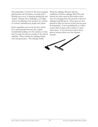 left unattended. Control of this insect requires 
picking them off the plants, covering with a 
floating row cover, or spraying during July and 
August. Despite these challenges, you might 
want to try planting a few potatoes in a variety 
of colours, including red, purple and yellow. 
Some vegetables may not be the best choice 
for a school garden because they require 
considerable tending over the summer, or they 
may be ready for harvest outside of the school 
calendar. These include the cabbage family, 
corn and green peas. The cabbage family 
(broccoli, cabbage, Brussels sprouts, 
cauliflower, Chinese cabbage, Bok Choi and 
others) are often eaten by flea beetles when 
they are emerging from the ground, or later by 
cabbage butterfly larvae. Green peas are best 
planted in May for harvest in July, and are gone 
by September. Corn is problematic as it takes 
a great deal of space and is subject to many 
insect pests. If you do want to grow these, 
plan to monitor them over the summer 
months. 
NOVA SCOTIA AGRICULTURAL EDUCATION 13 SCHOOL GARDEN RESOURCE GUIDE 
 