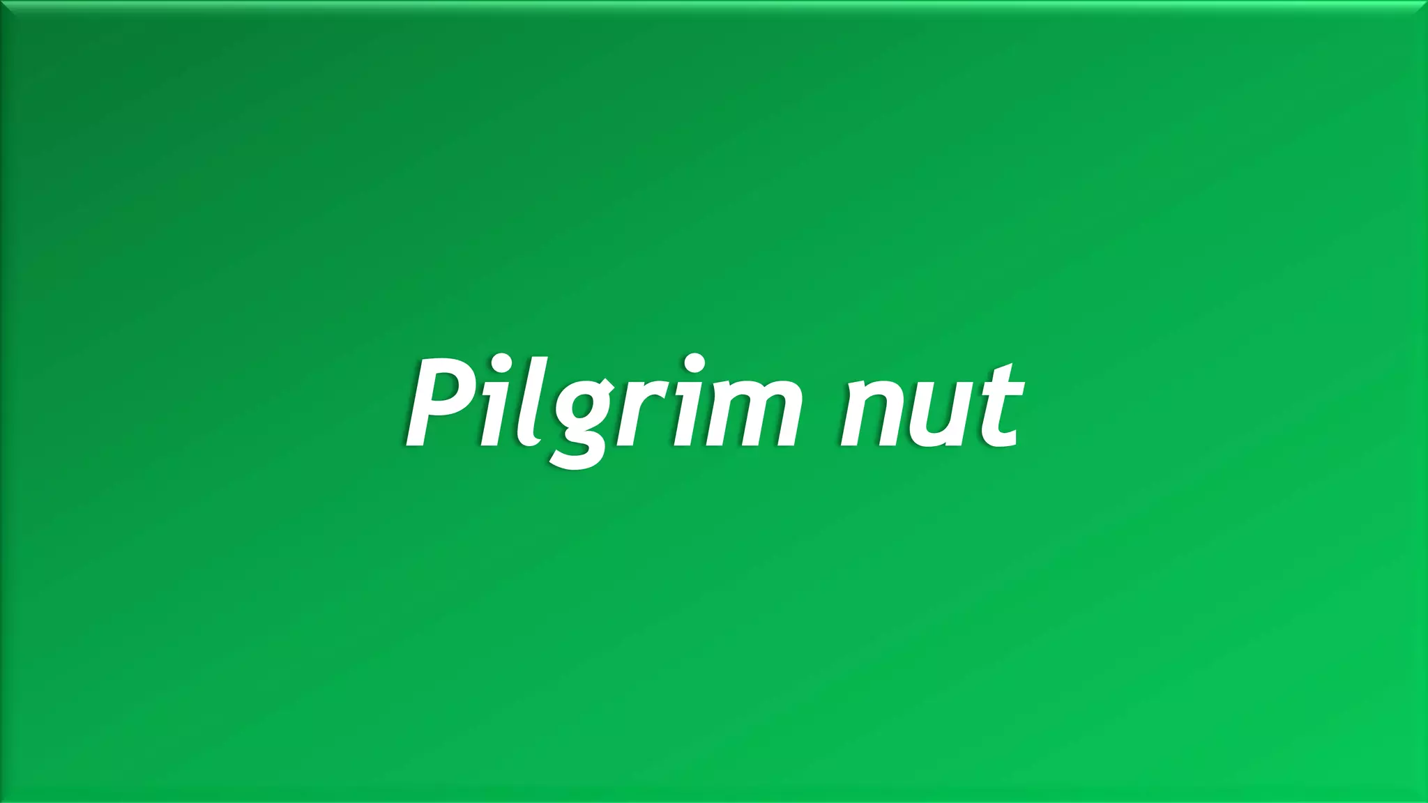 M a r i n e E n g i n e e r i n g K n o w l e d g e U E 2 3 1 | Y A S S E R B . A . F A R A G20 October 2020
Pilgrim nut
 