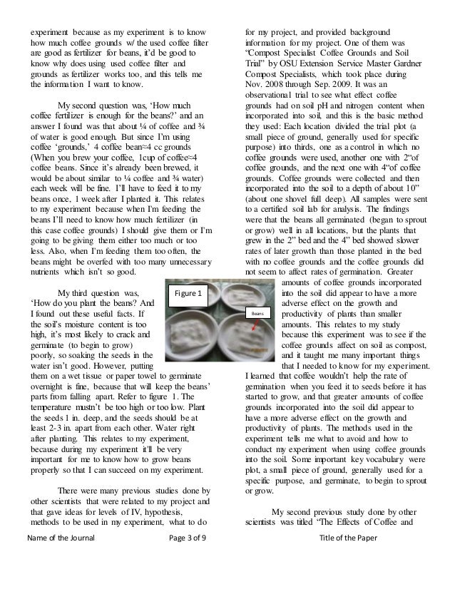 essay on hong kong tourism