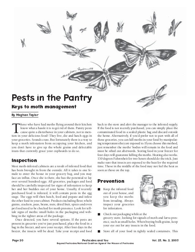 Pantry Moths Natural Pest Control